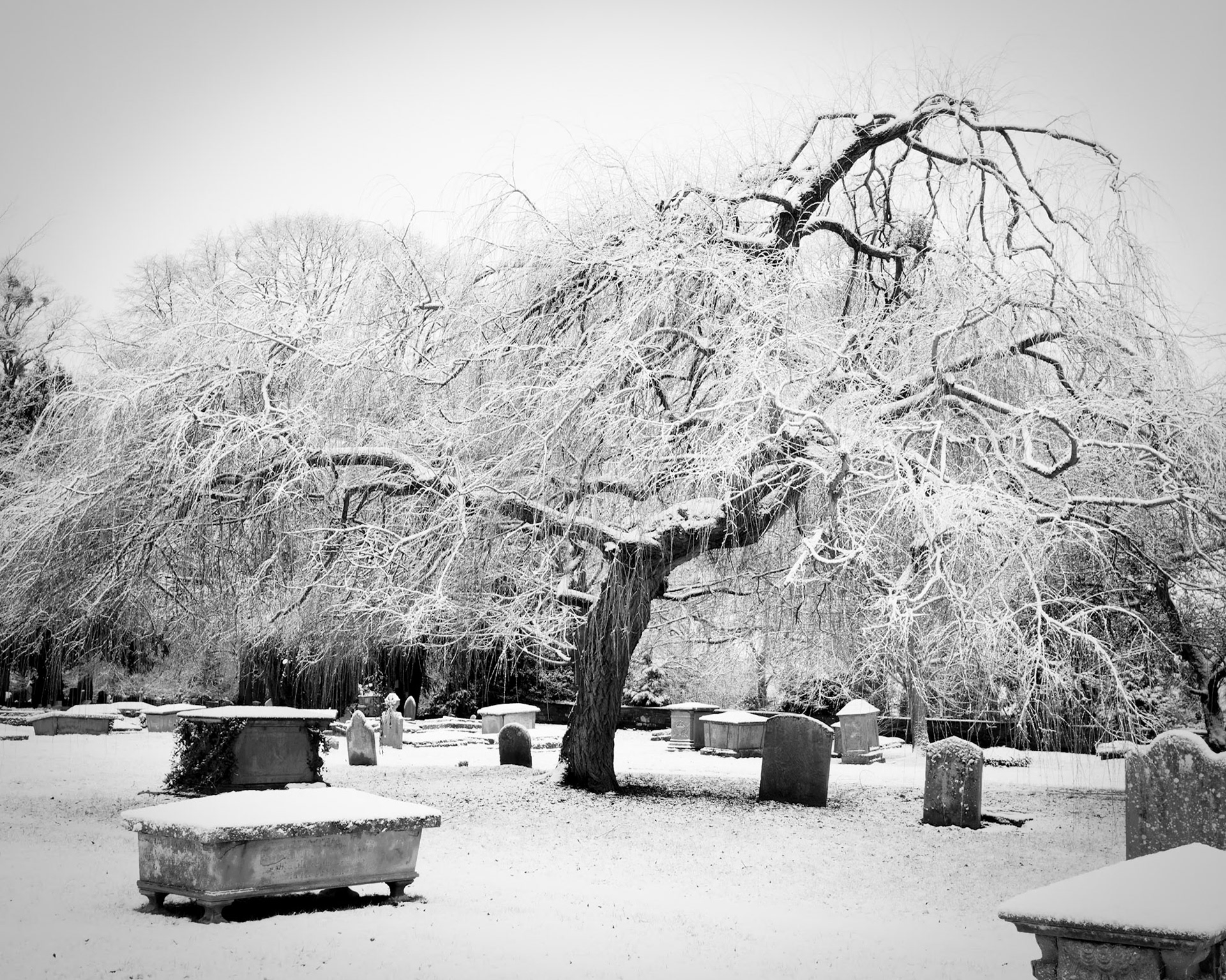 In the bleak midwinter