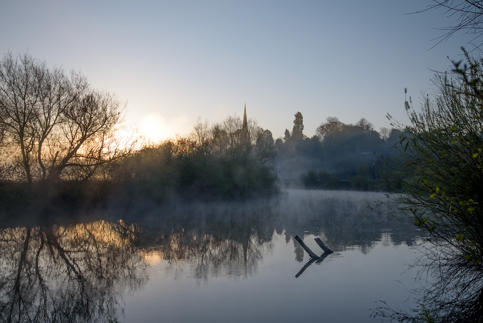 dawn at ross