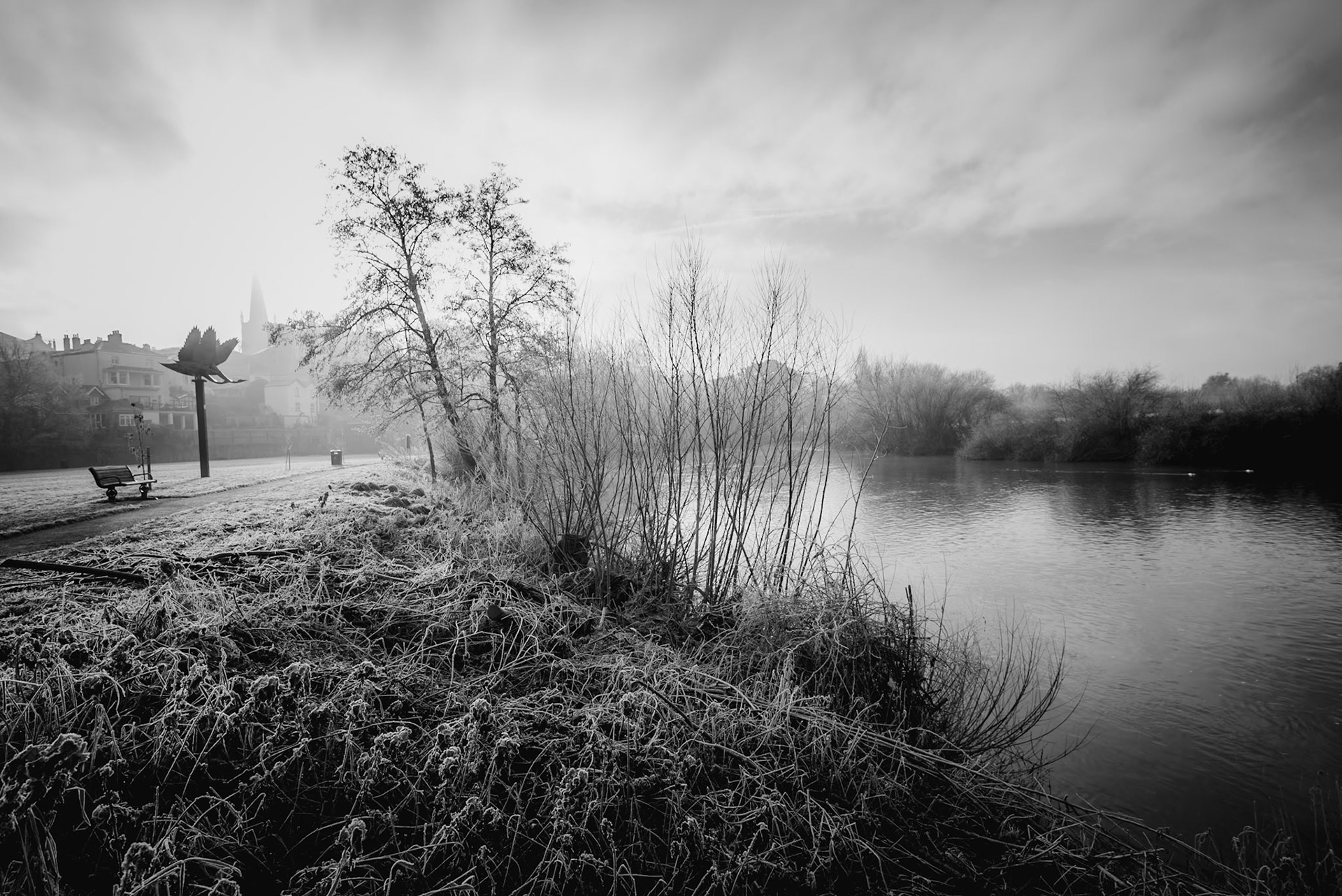 Tales from the riverbank