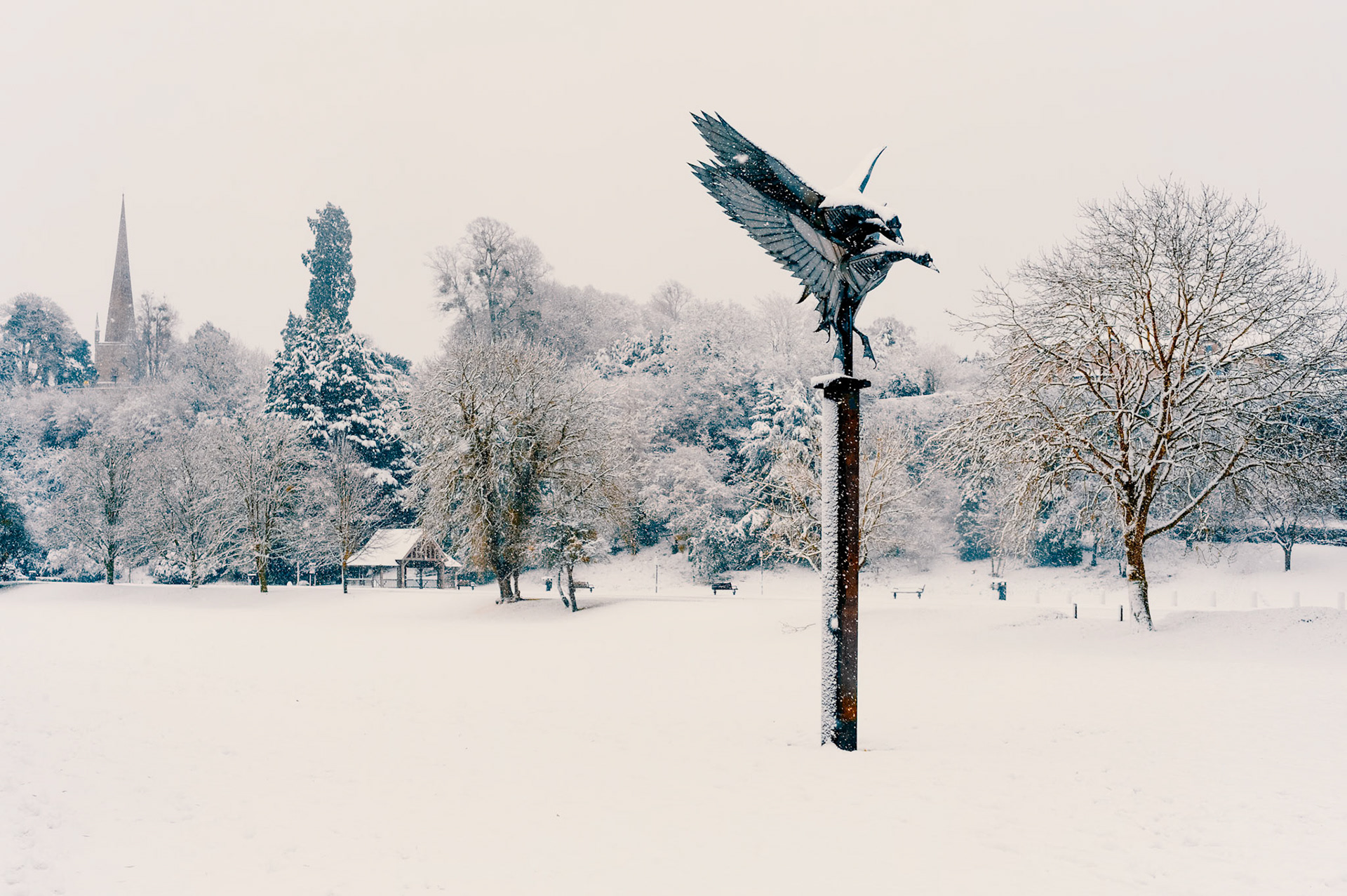 winter wonderland