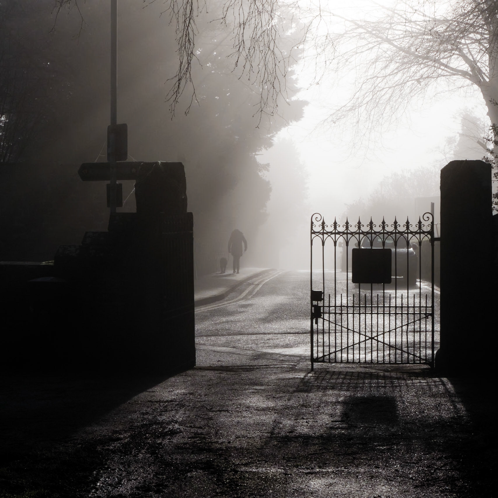 Walking with Stanley