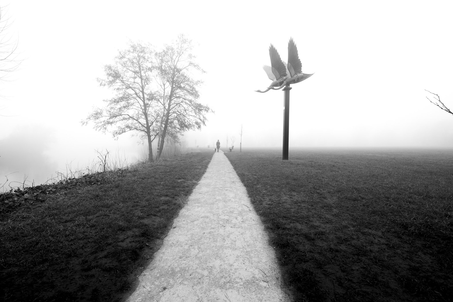 Last man on the  earth