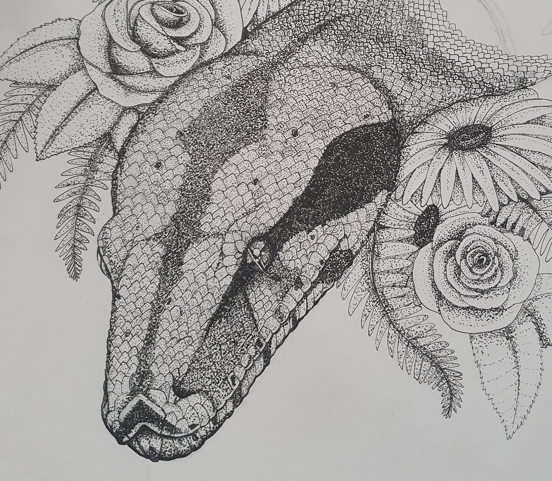 A3 ~ Boa Constrictor (WIP)