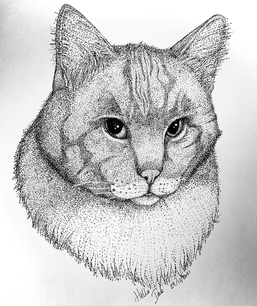 Commission ~ A4 BustCat