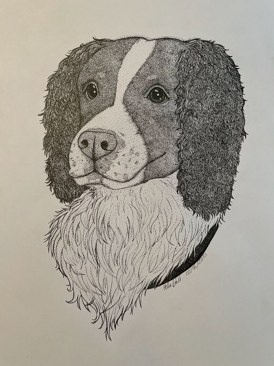 Commission ~ A4 Bust Dog