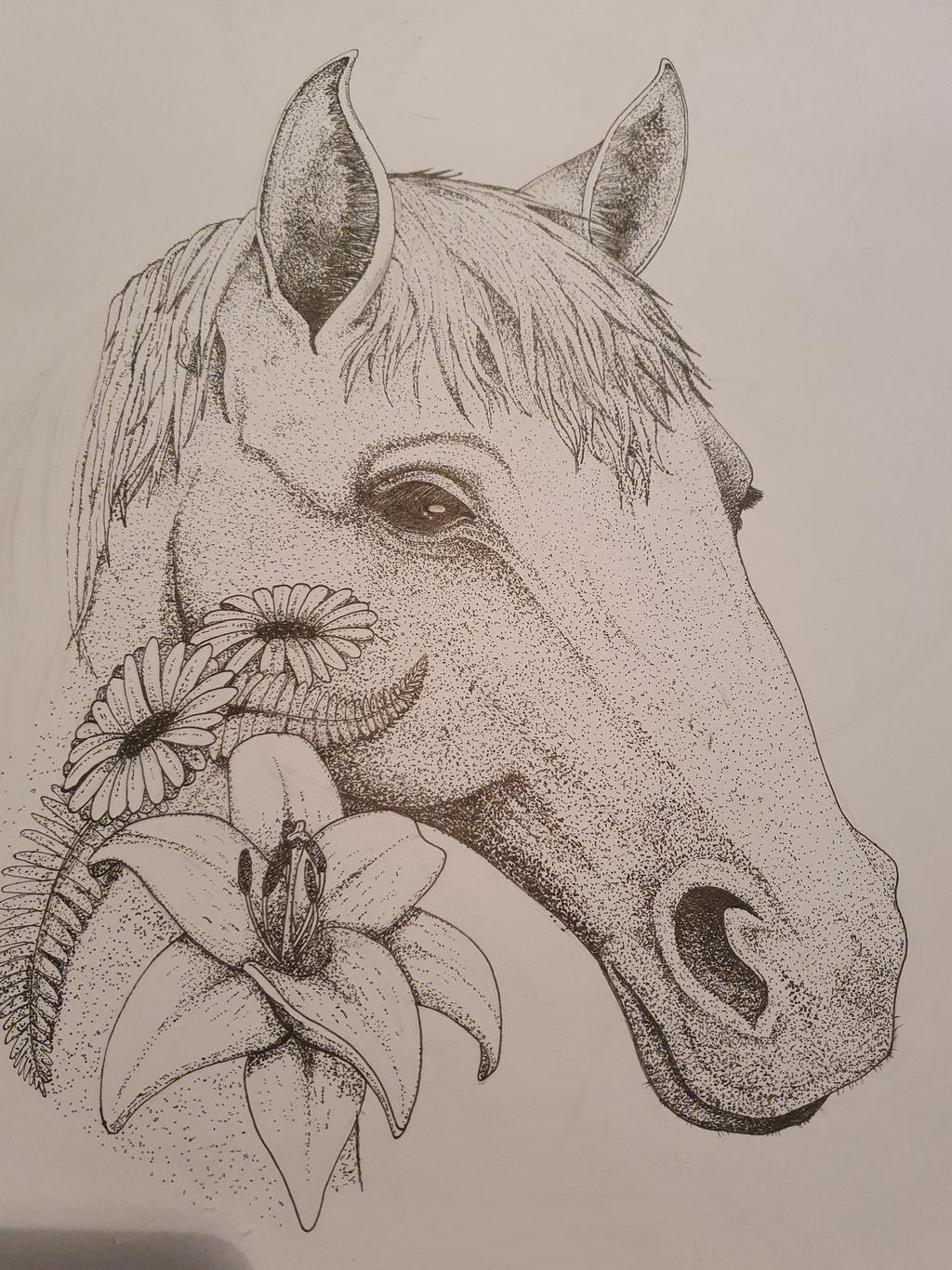 A4 Bust Horse
