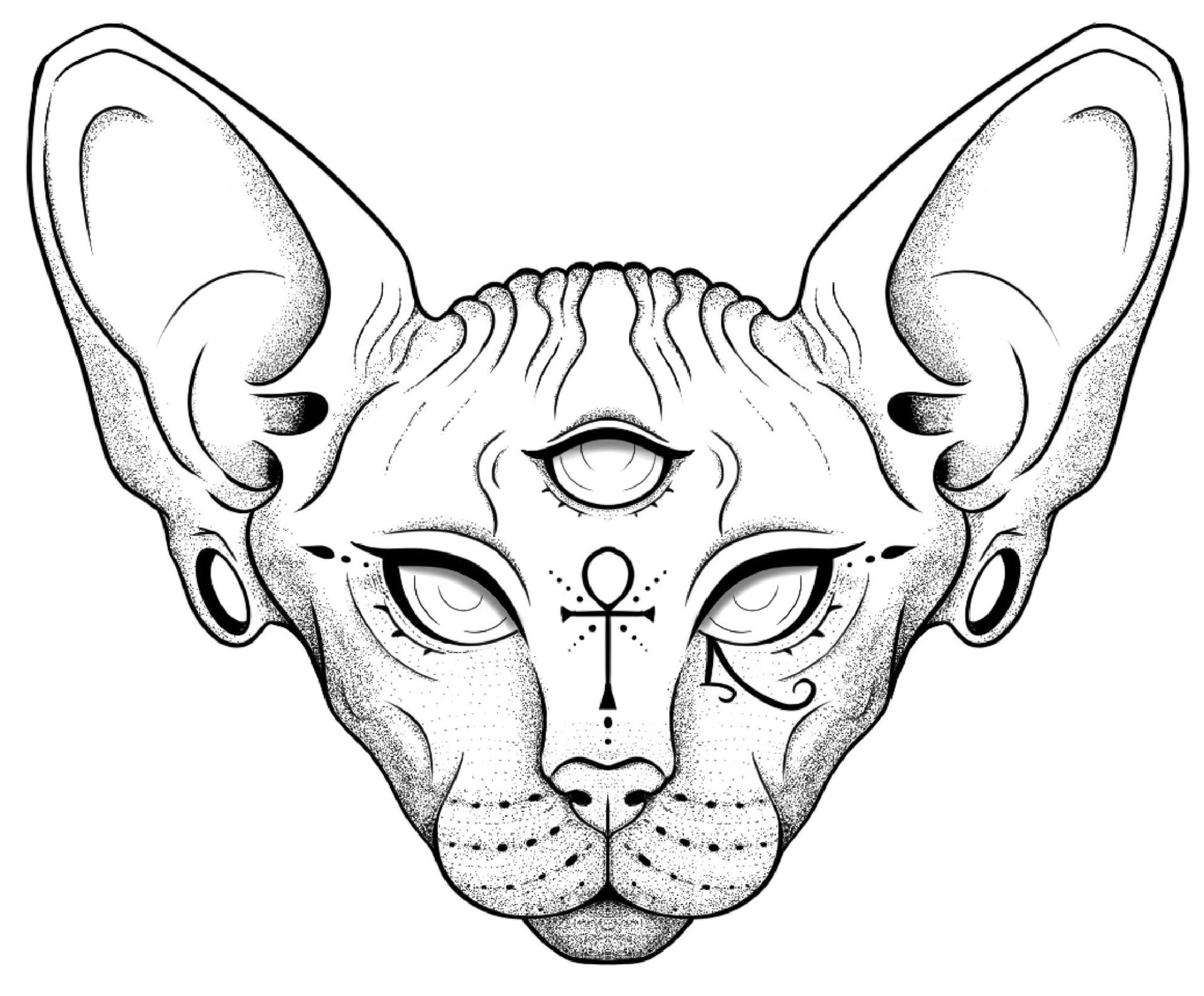 Cat Design