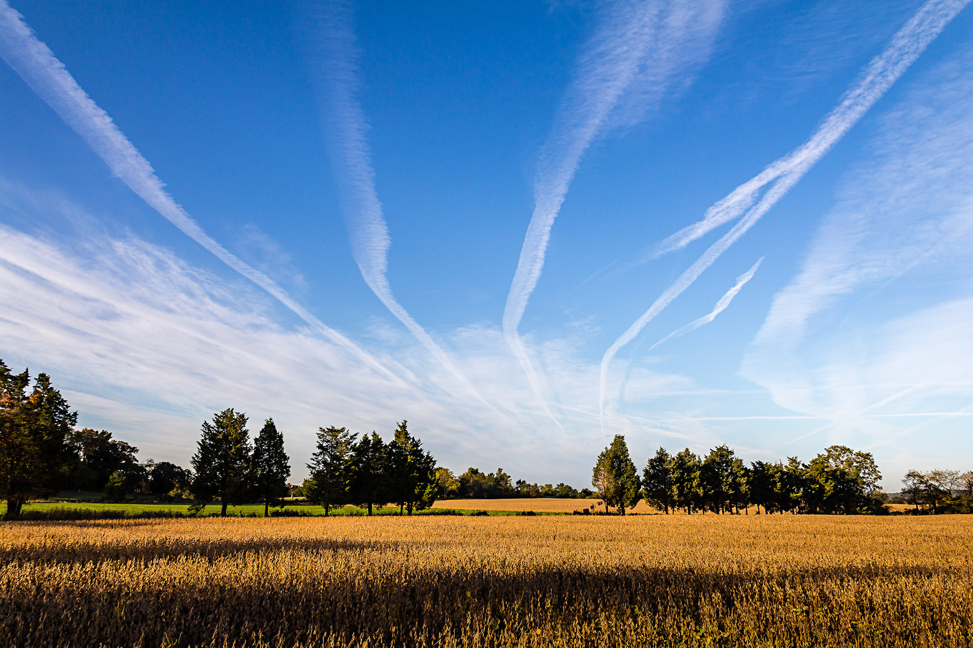 Sky Trails - over a farm field in Hillsborough, New Jersey