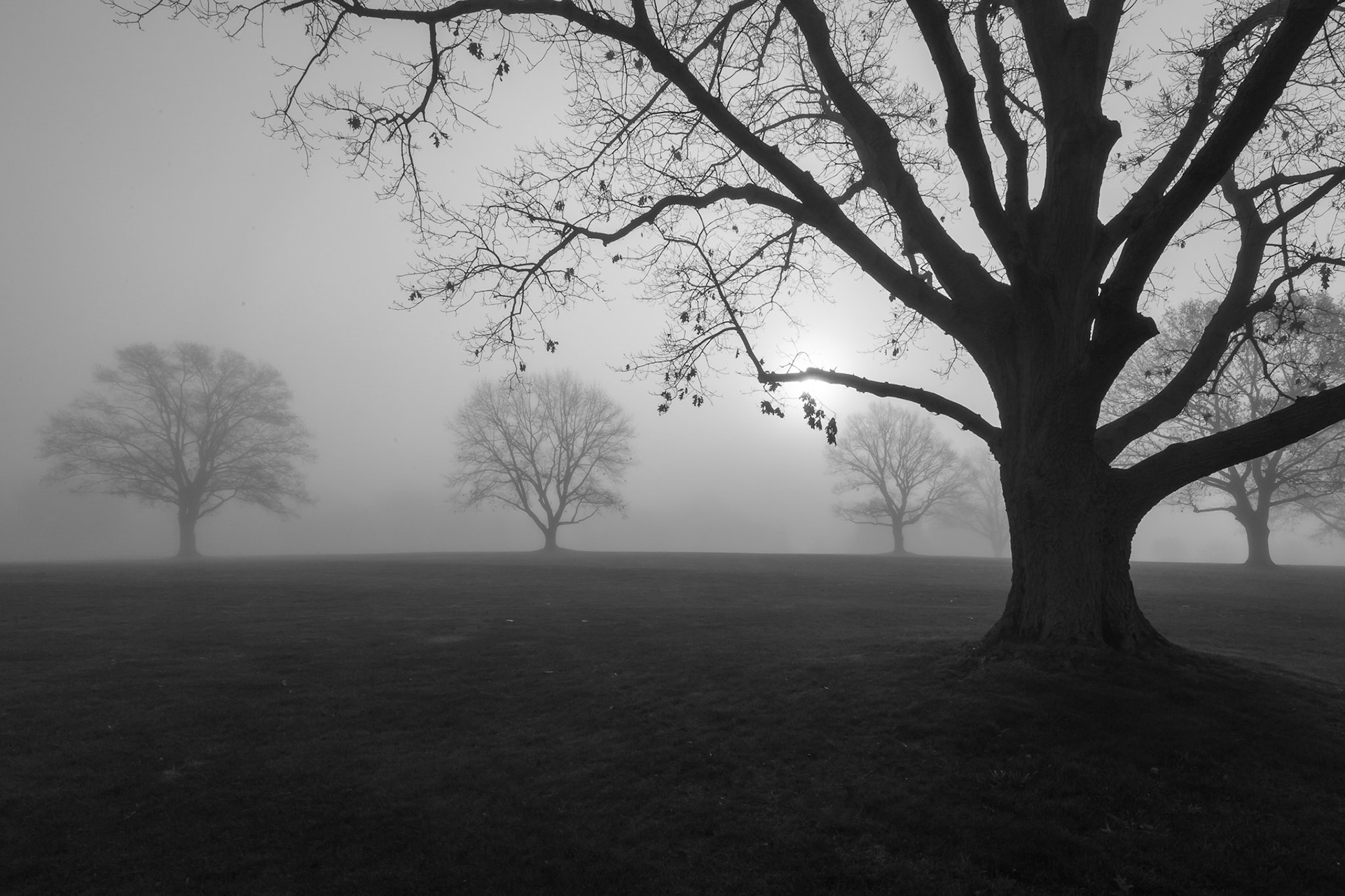 Misty Morning Sunrise - Somerset, New Jersey