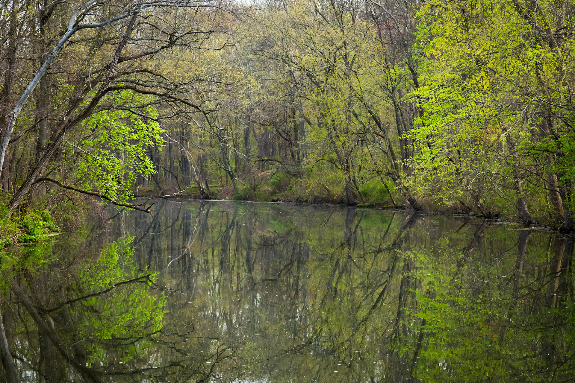 Canal Awakening - The Delaware &amp; Raritan Canal near East Millstone, New Jersey