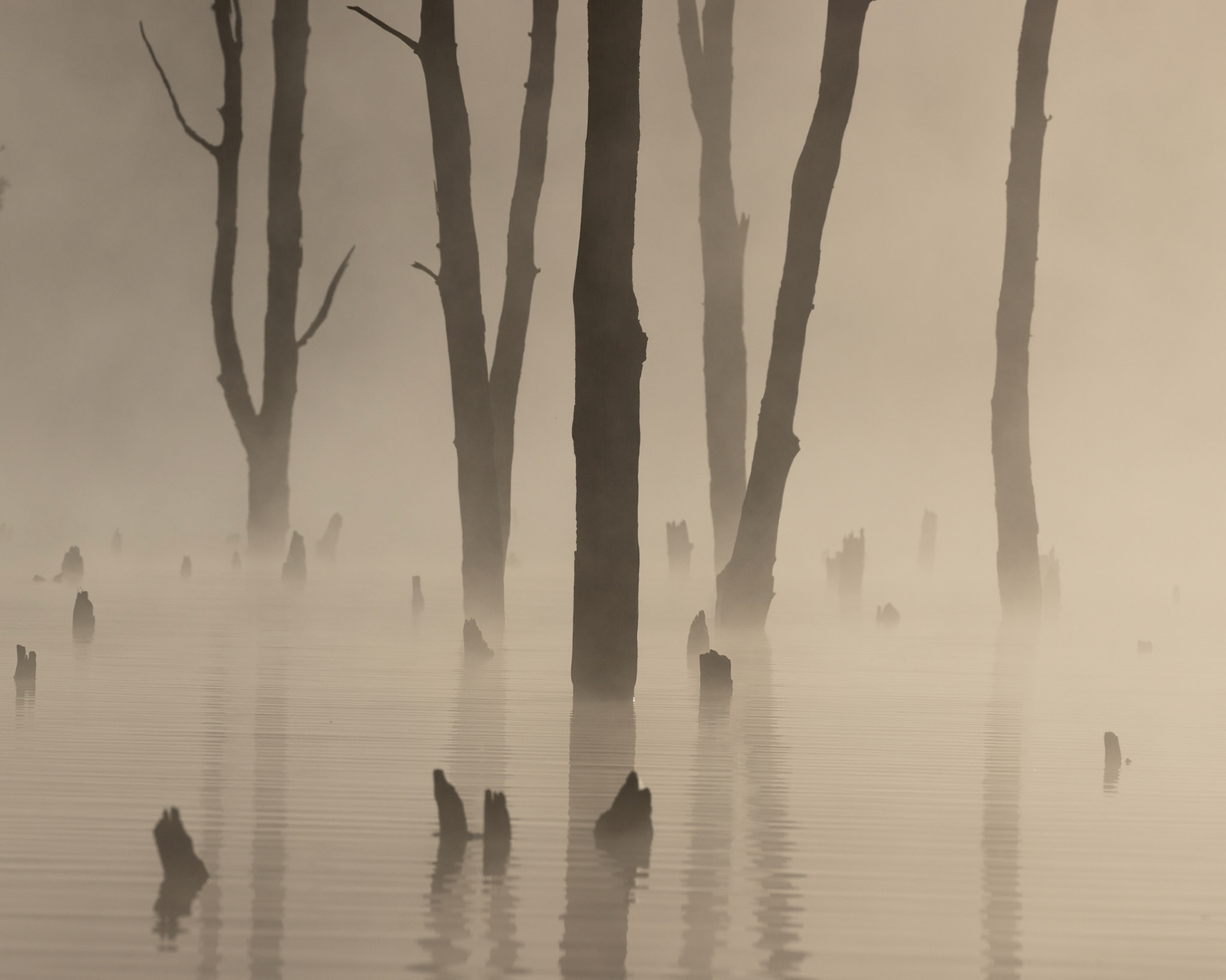 Ghosts of Monksville - Monksville Reservoir, New Jersey