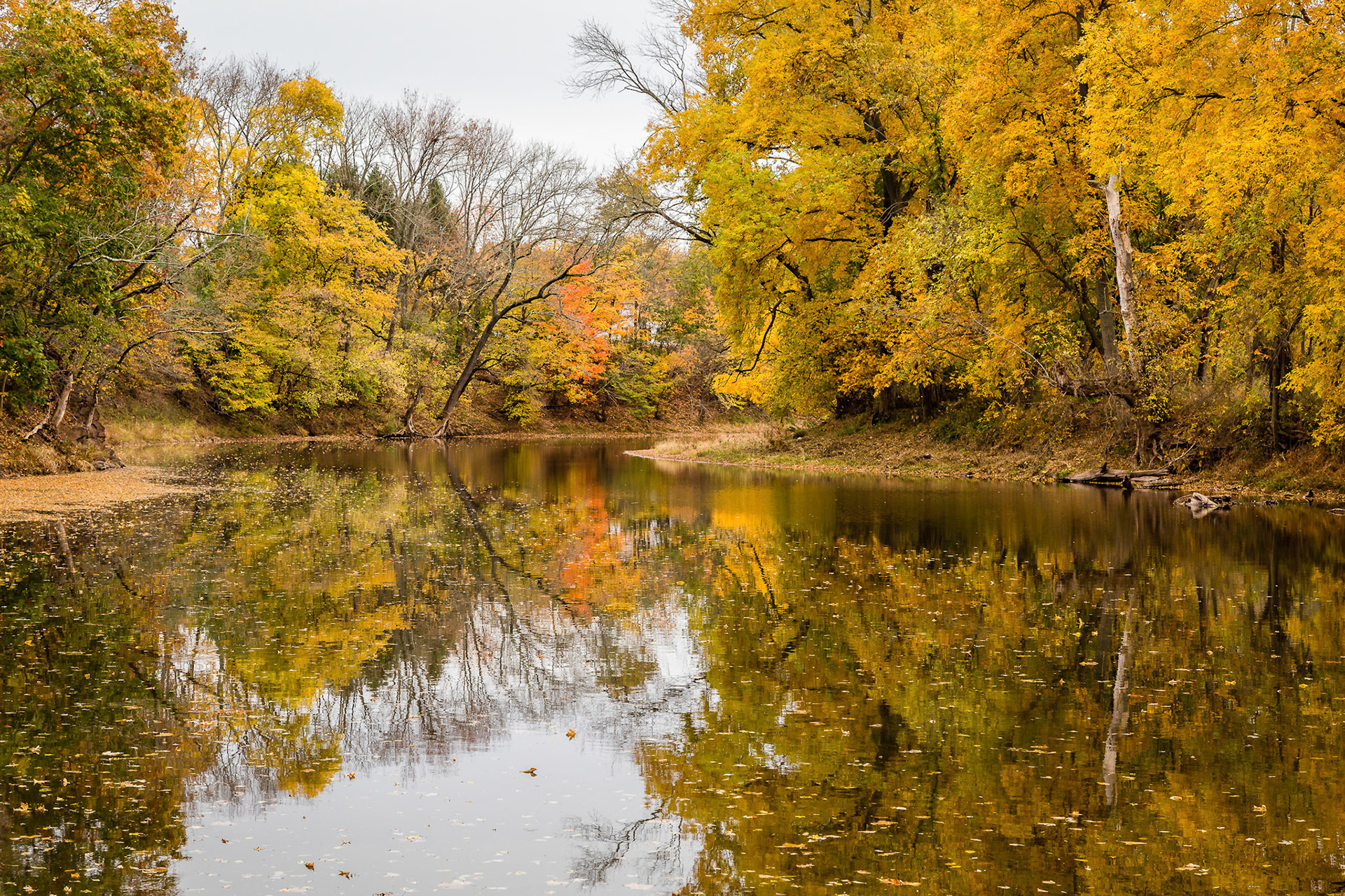 Autumn on the South Branch - Hillsborough, New Jersey
