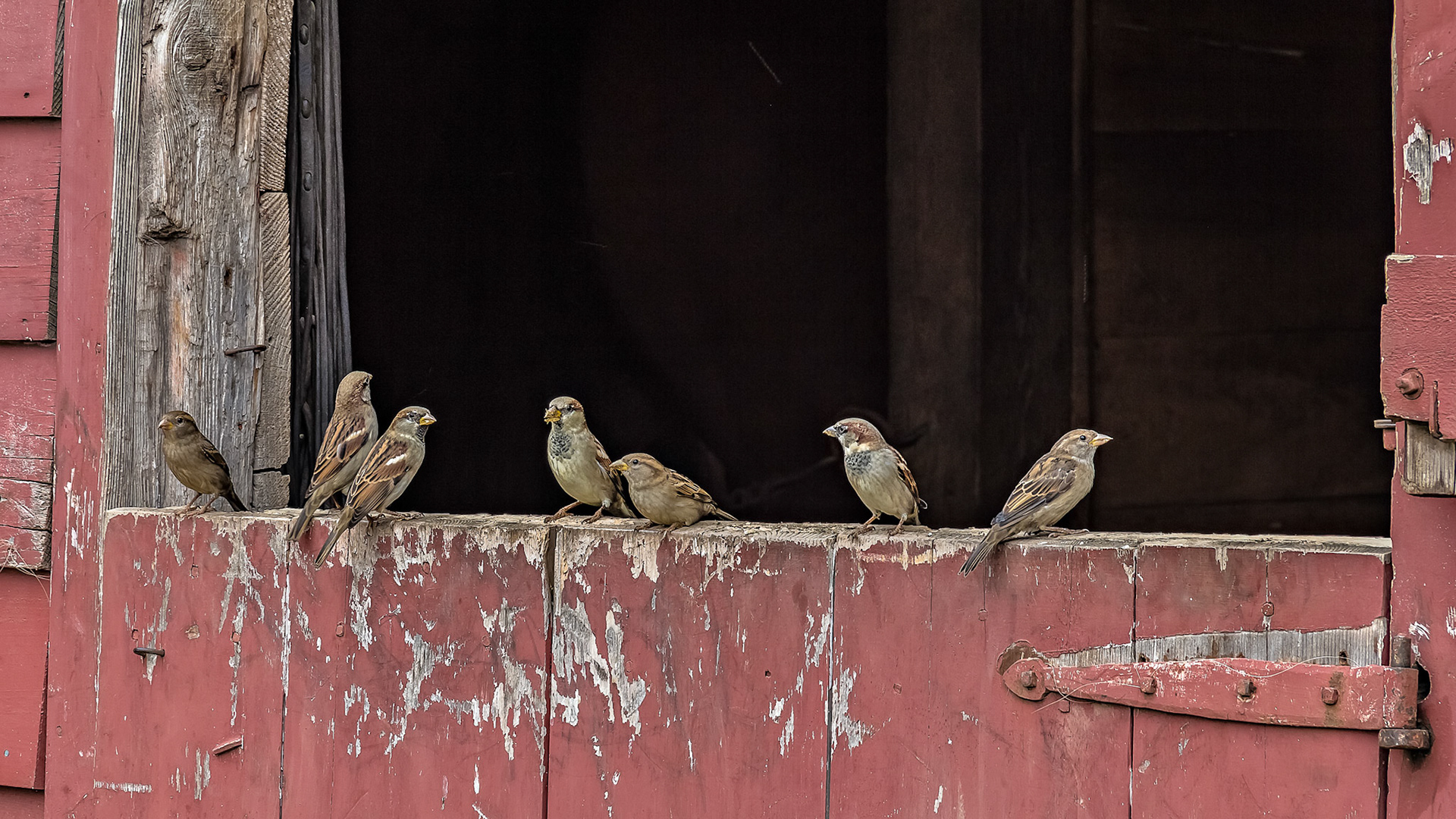 Barn Door - Howell Living History Farm near Lambertville, New Jersey