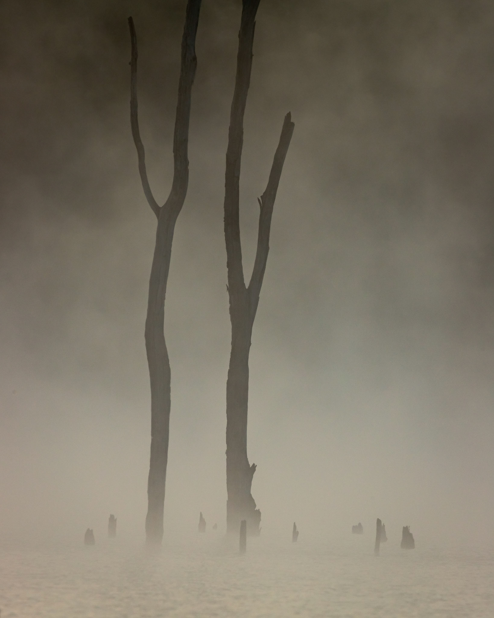 Dead Calm - Monksville Reservoir, New Jersey
