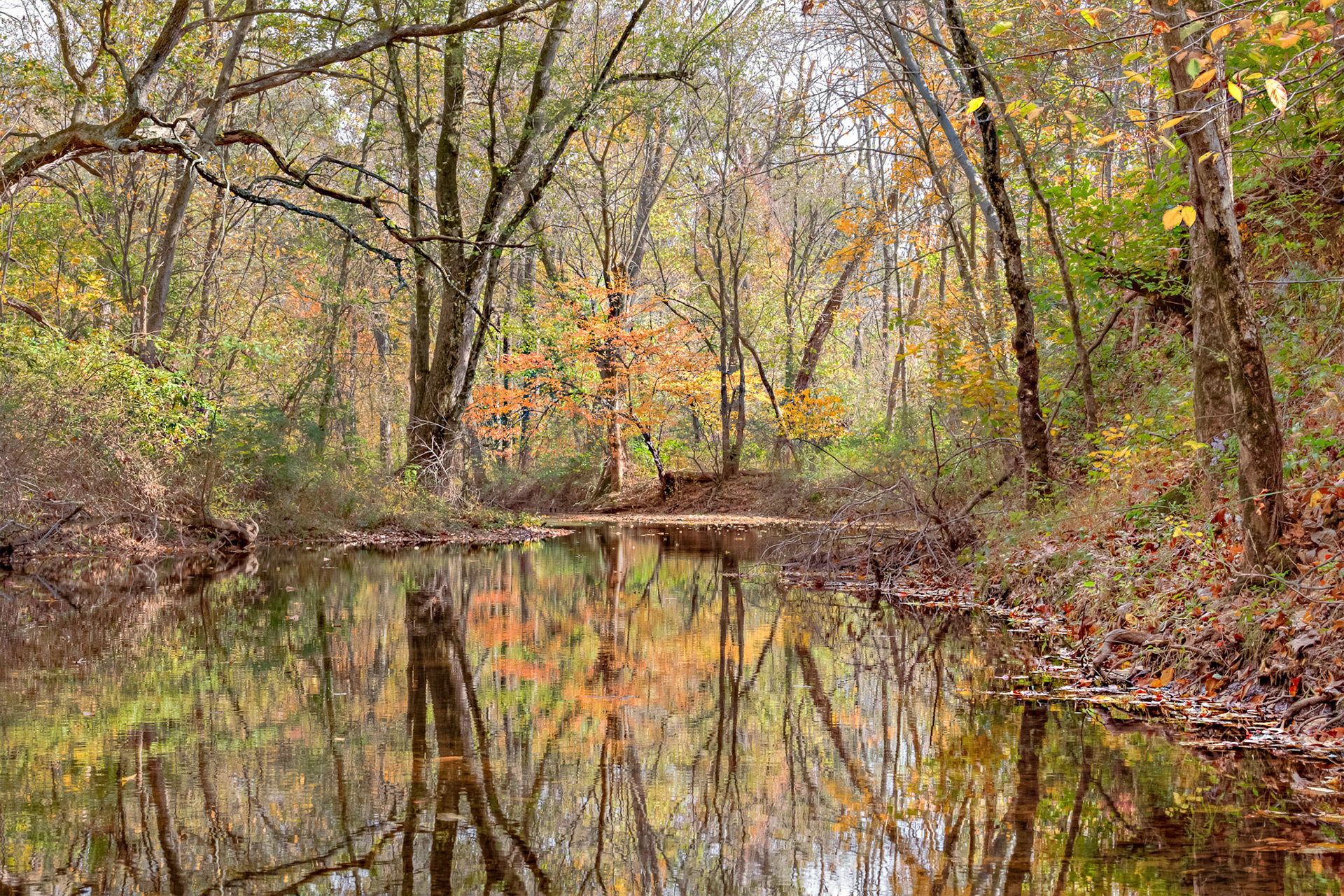 Reflection on Six Mile Run - Somerset, New Jersey