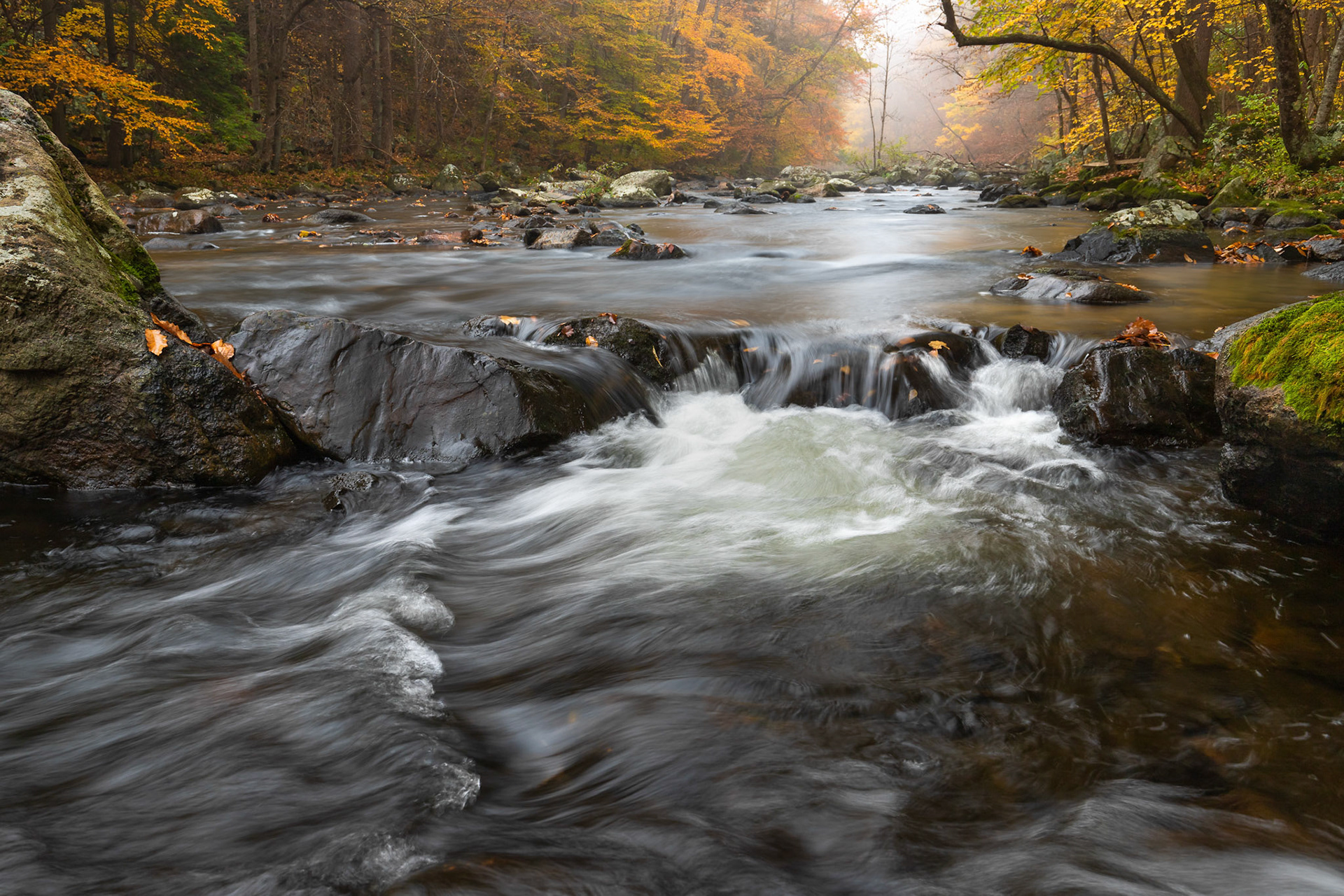 J Michael Williams Photography - Fine Art Nature and Landscape