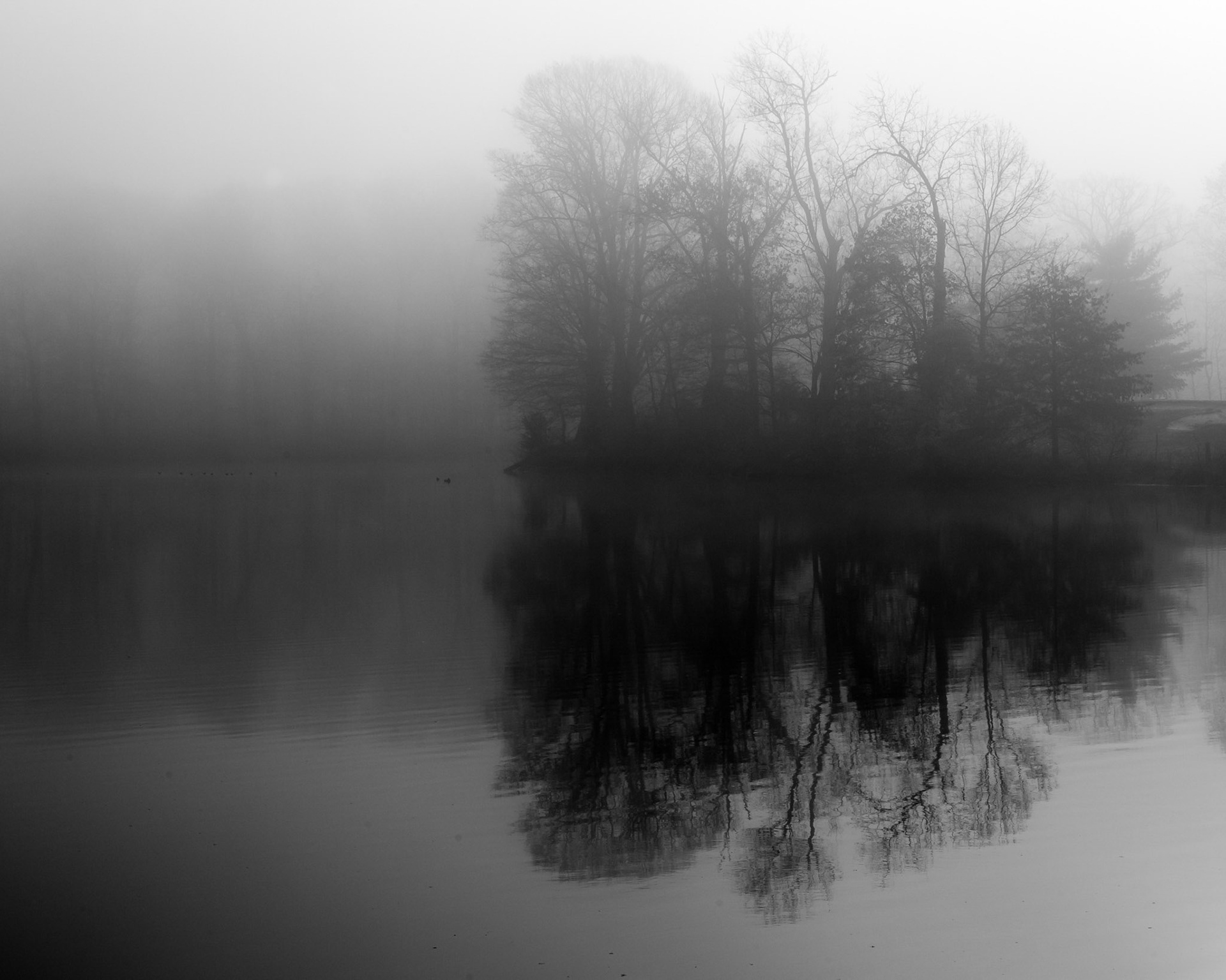 Spooky Brook Pond - Somerset, New Jersey