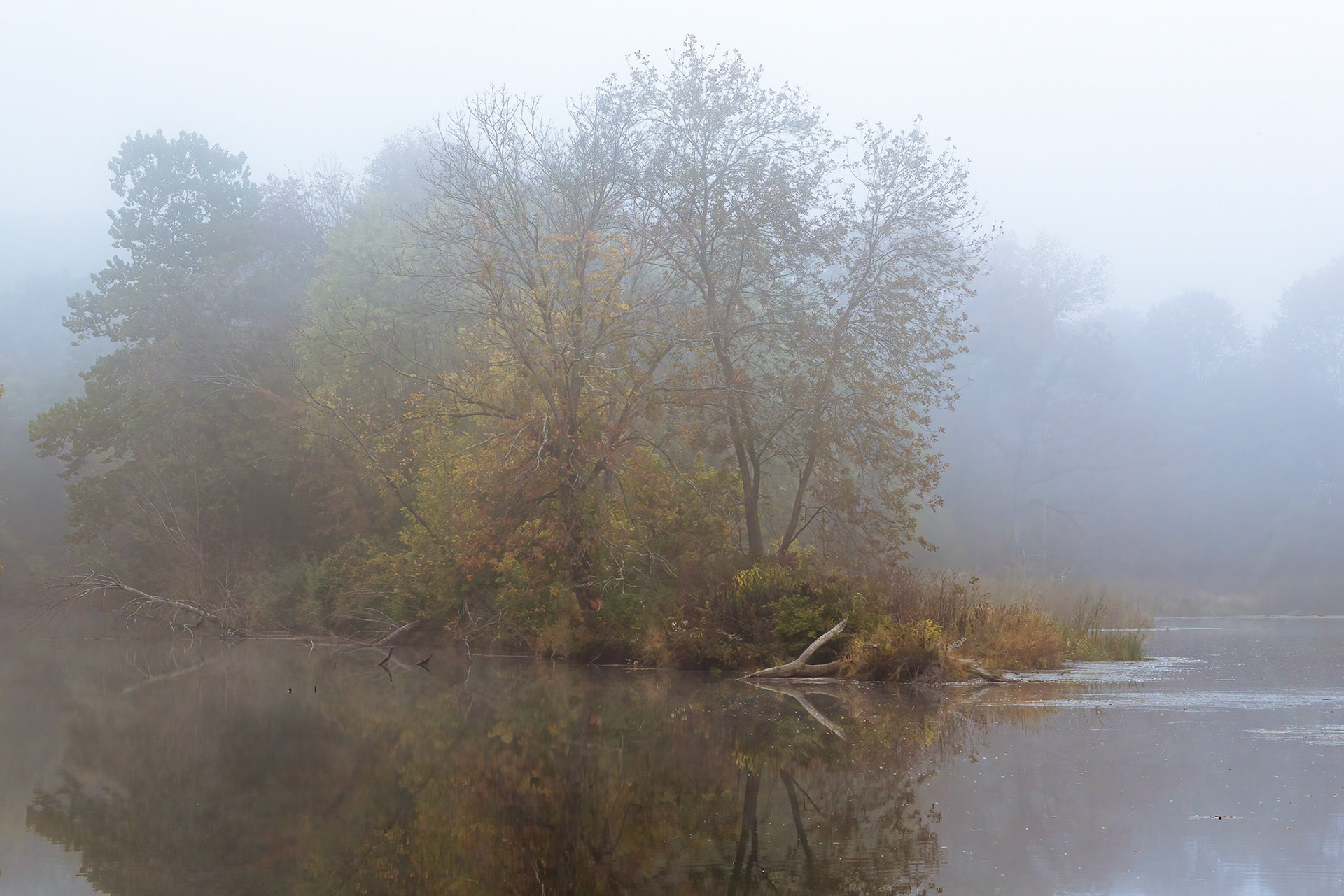 Foggy Morning Dream - Clinton, New Jersey