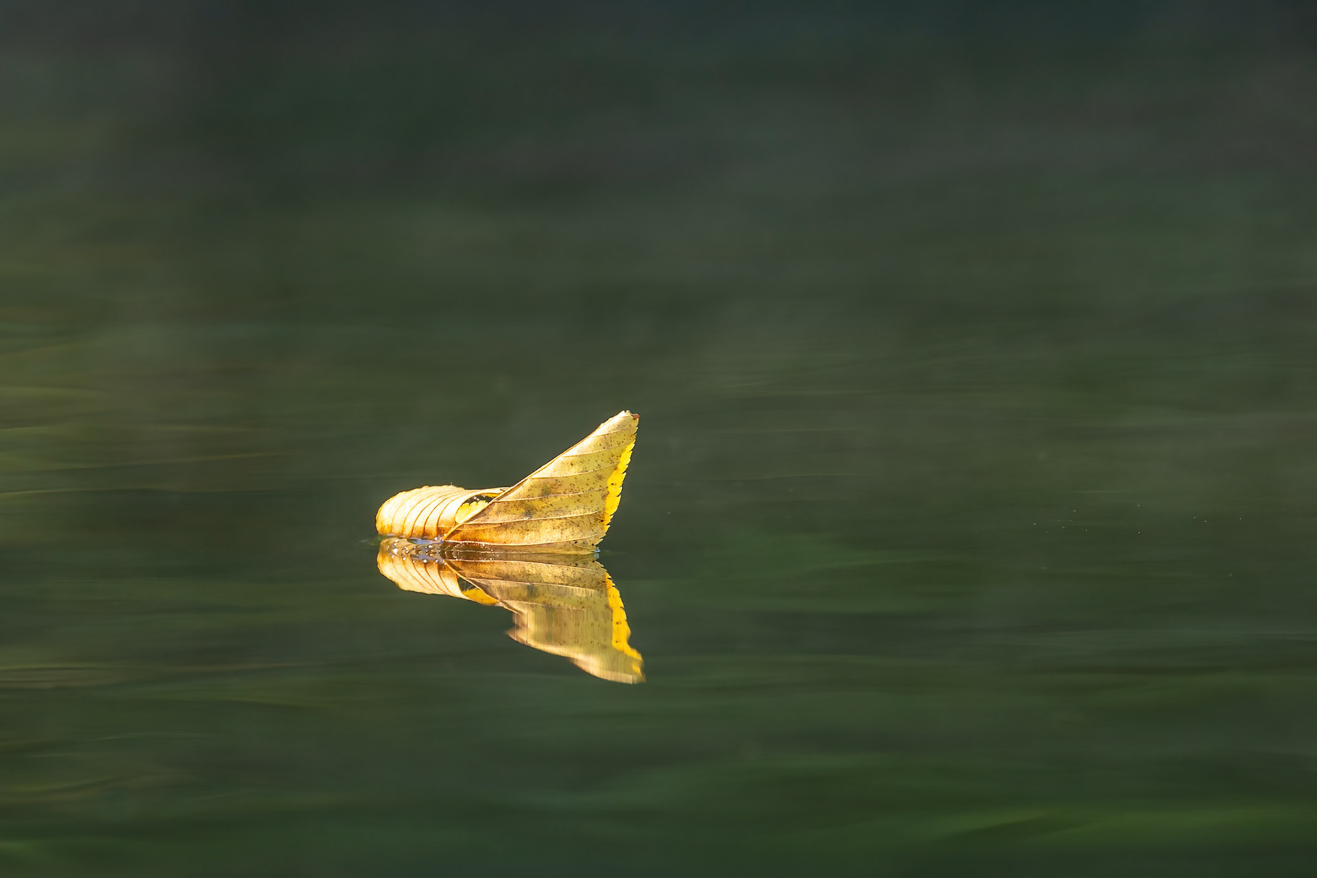 Adrift - Monksville Reservoir, New Jersey