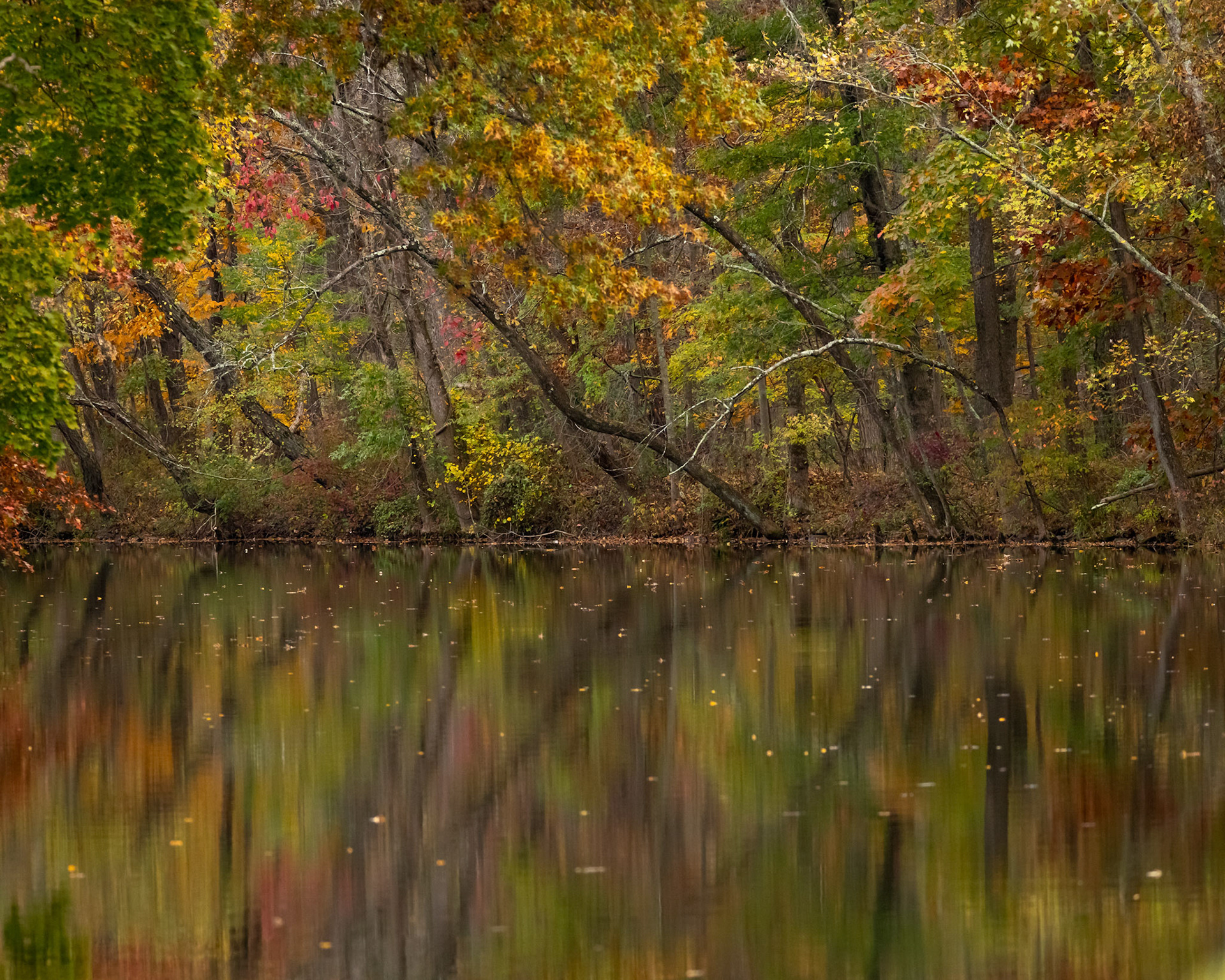Reflecting on the D&R Canal - East Millstone, New Jersey