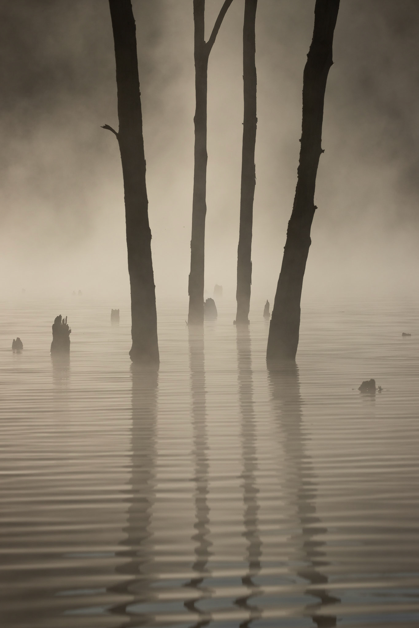 Daybreak - Monksville Reservoir, New Jersey
