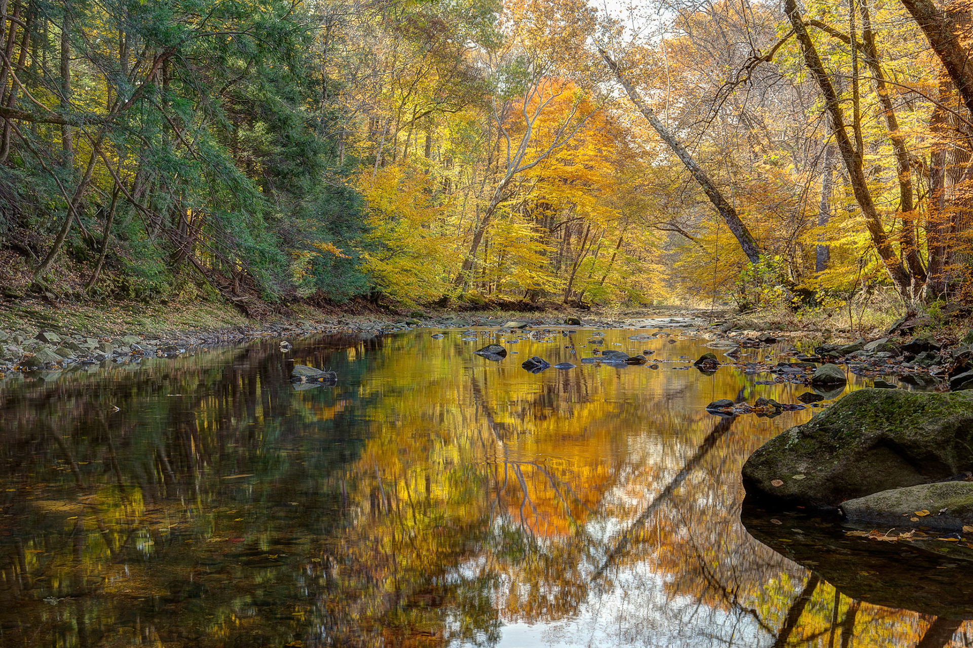 Autumn on Wickecheoke Creek, Wickecheoke Creek Preserve, New Jersey