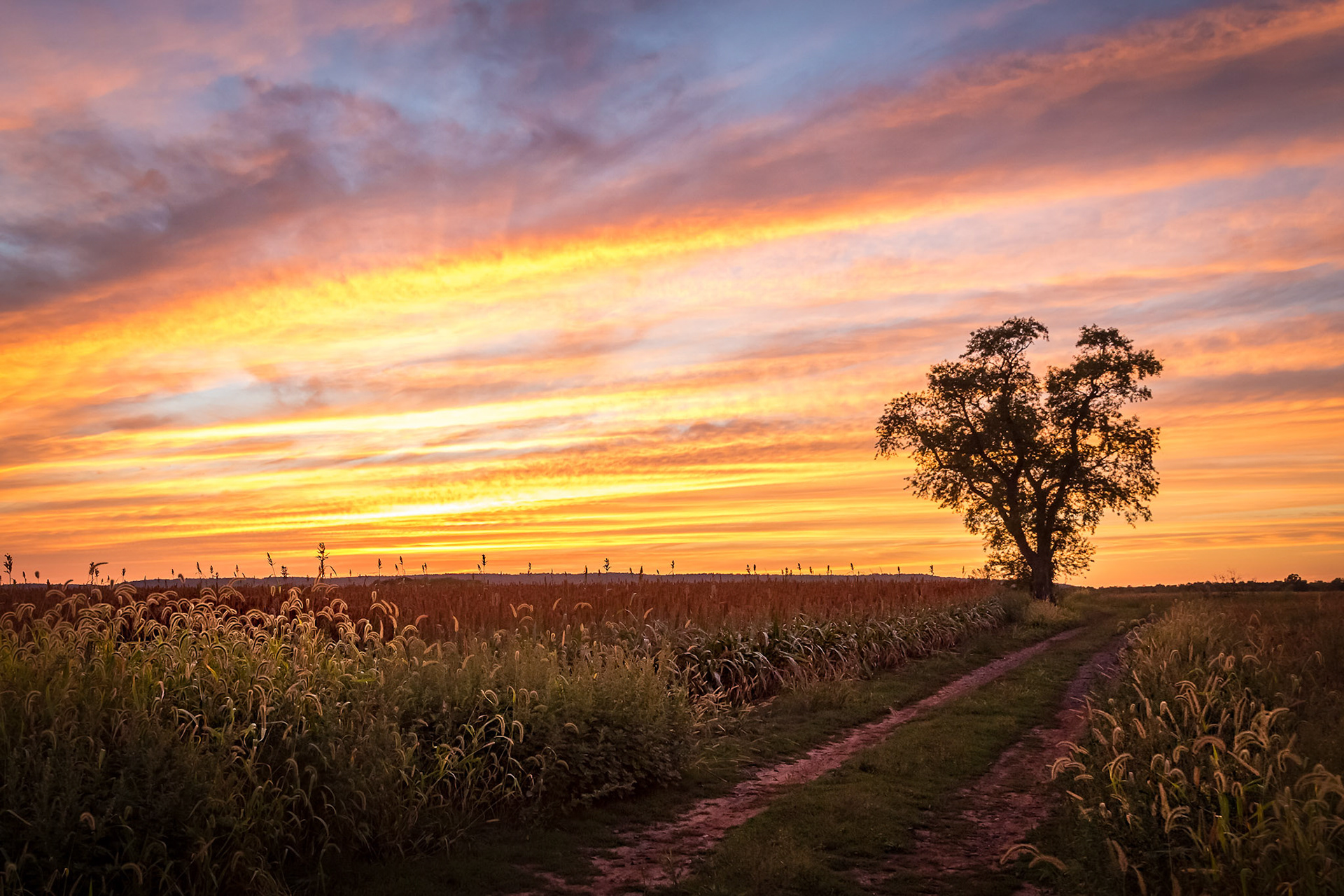 Painted Sky - Hillsborough, New Jersey