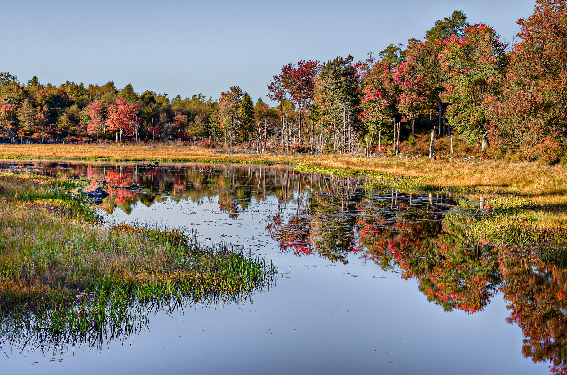 Autumn Reflections - Ricketts Glen State Park, Pennsylvania