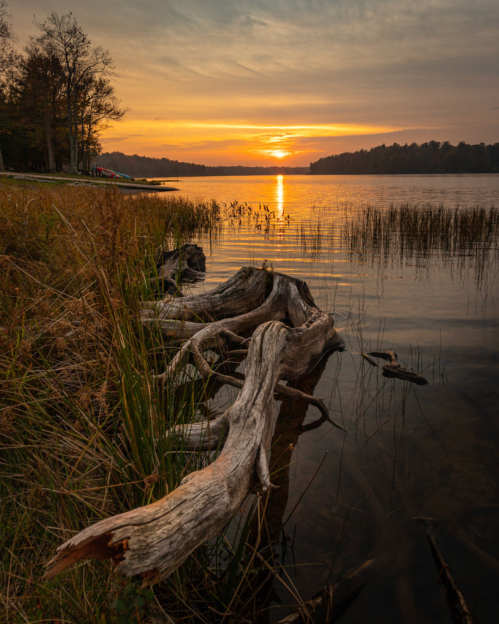 All that Remains - Lake Jean, Ricketts Glen State Park, Pennsylvania