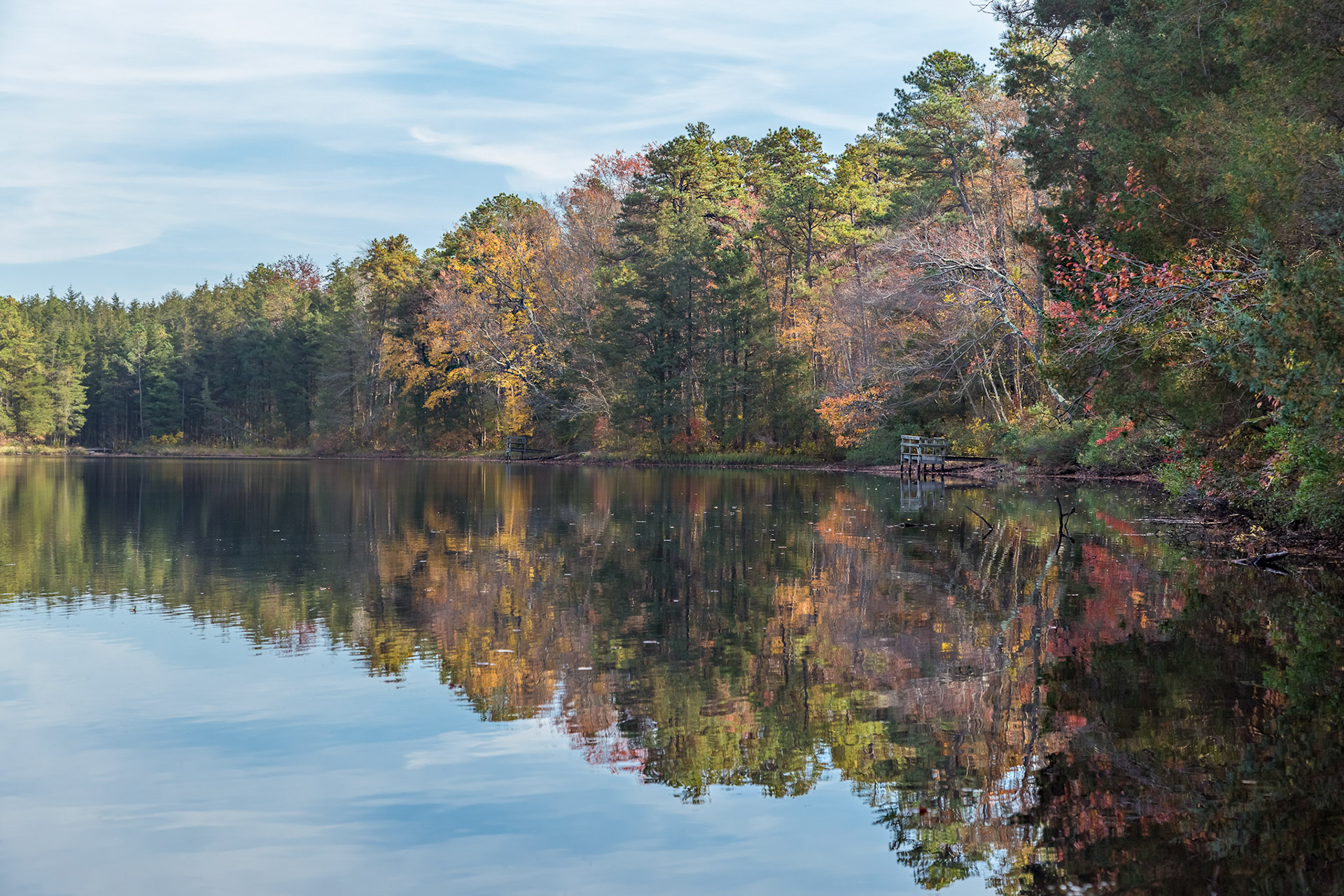 On Pakim Pond - Brendan T. Byrne State Forest, New Jersey