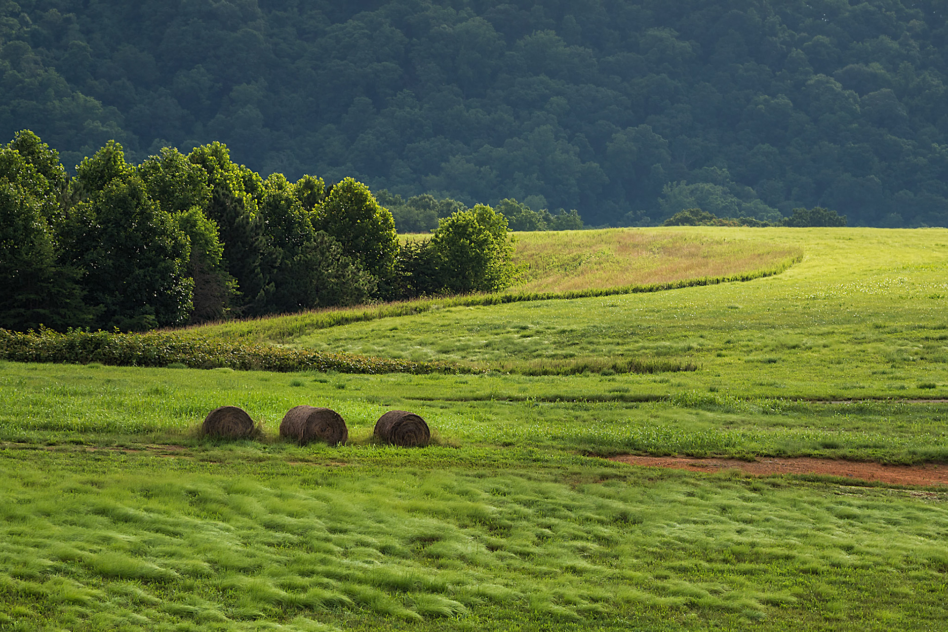 Three in a Row - Blue Ridge Parkway near Roanoke, Virginia