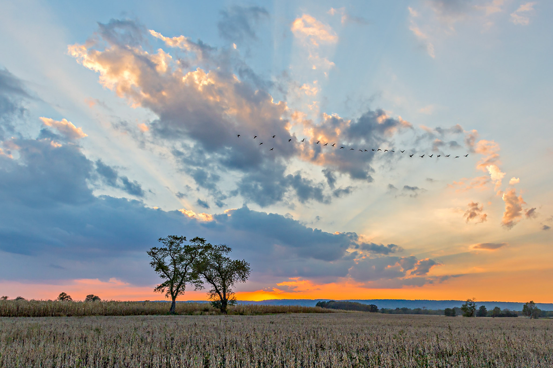 Headed South - Hillsborough, New Jersey
