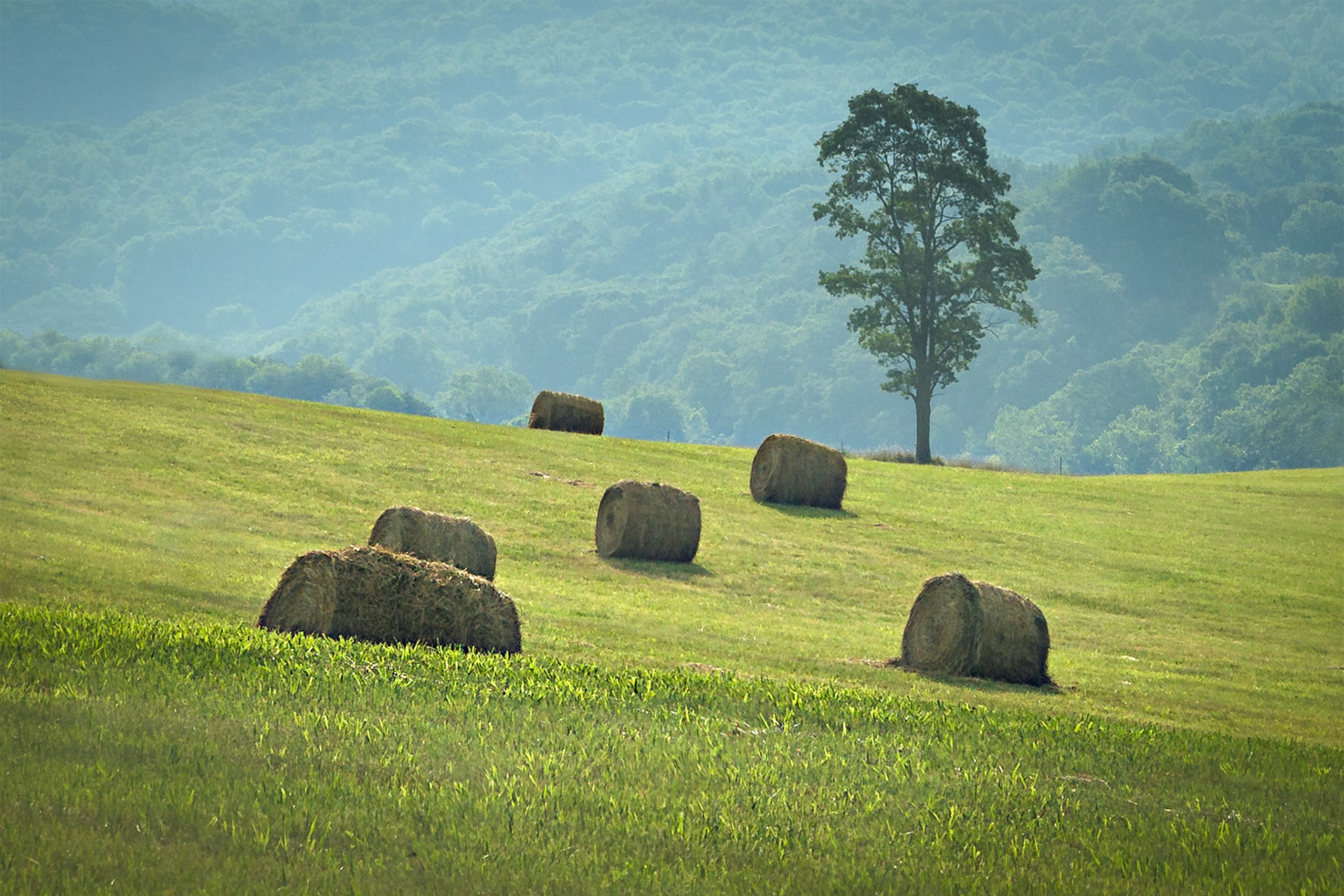 Making Hay - Catawba, Virginia