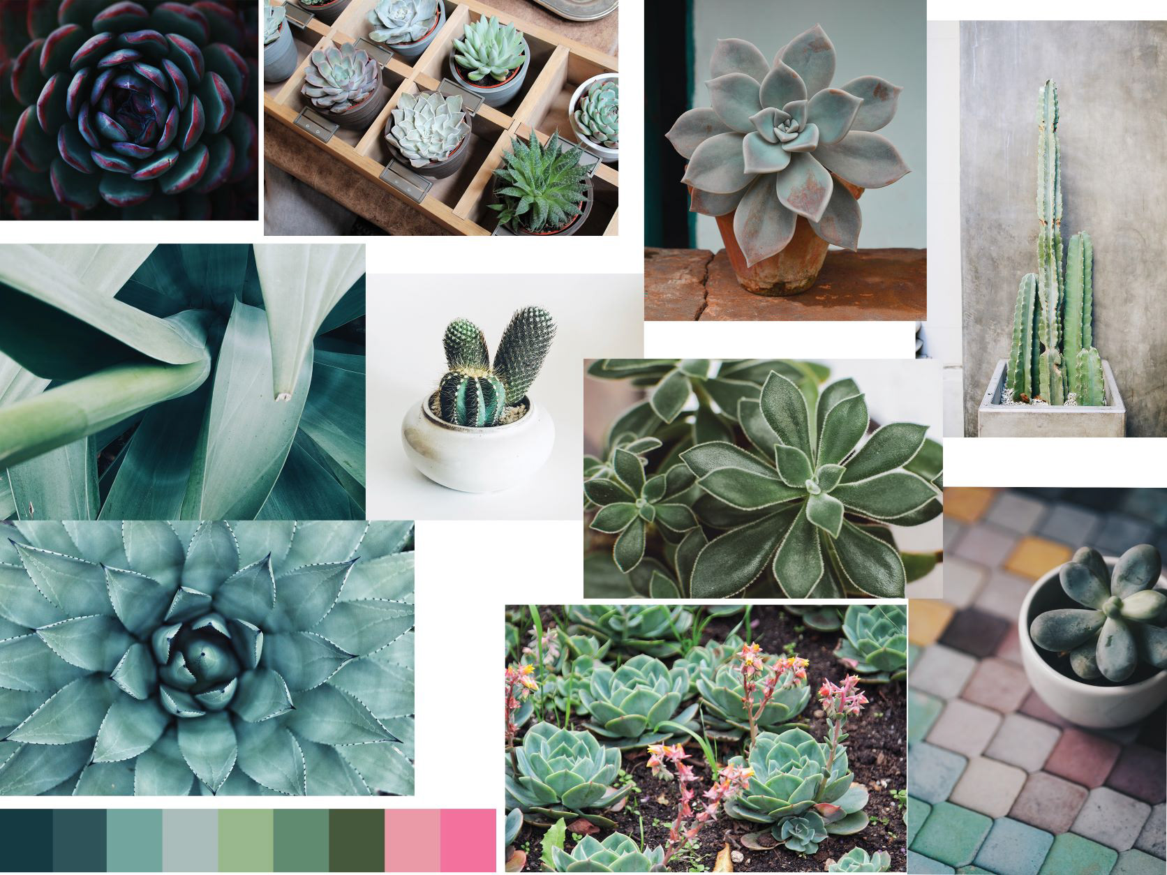 Mood Board