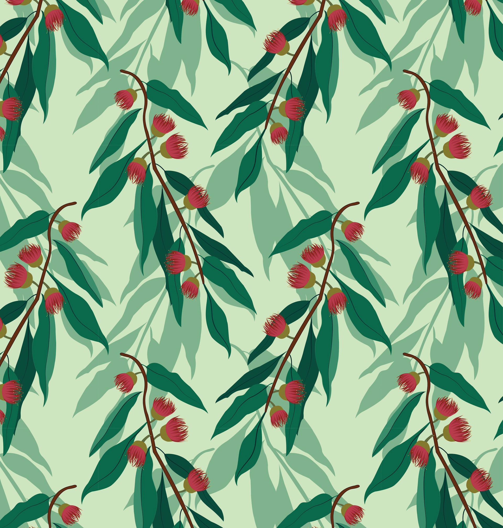 Australian Foliage Eucalyptus Leaves Pattern