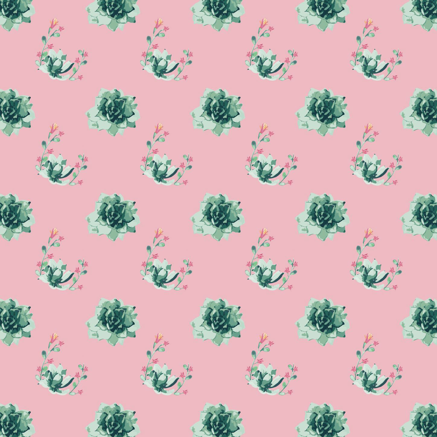 Pink succulents Pattern