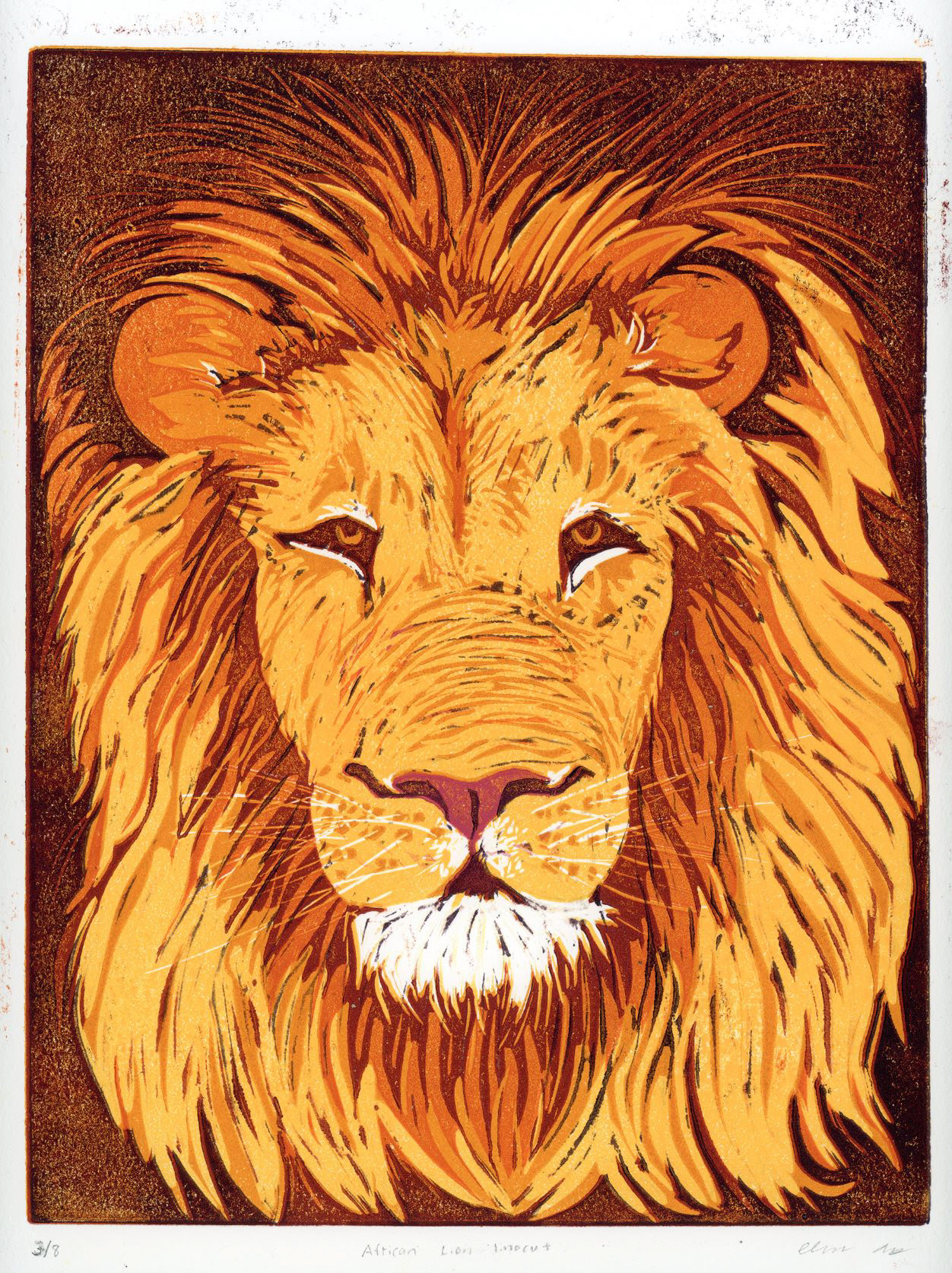 Linocut of African Lion