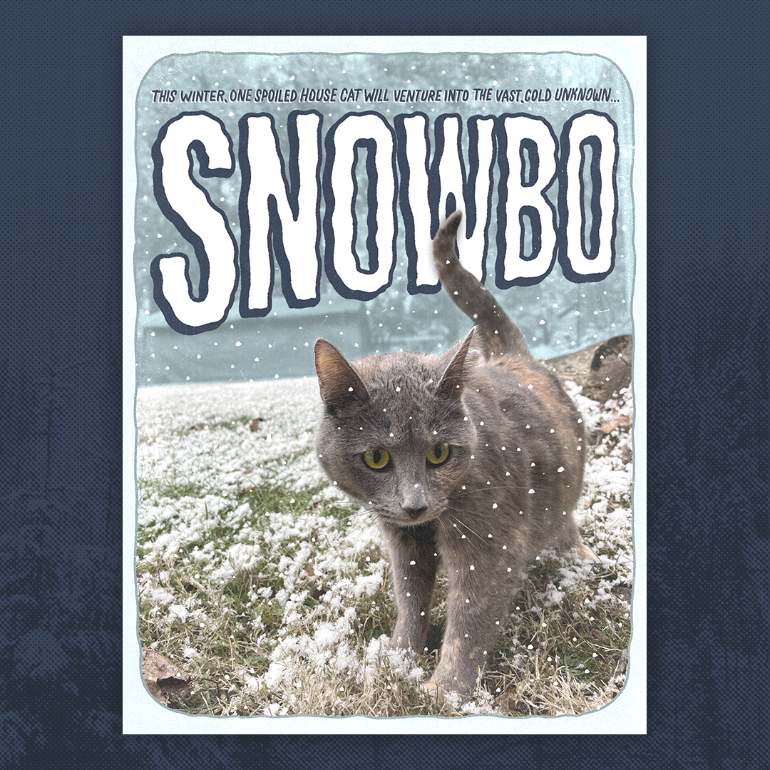 SNOWBO Poster
