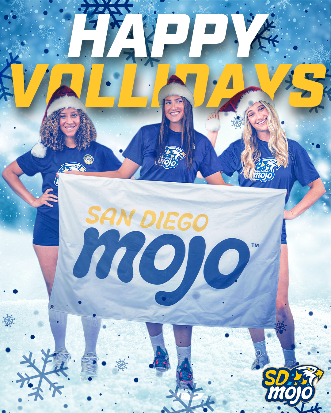 3 - San Diego Mojo Graphic submission