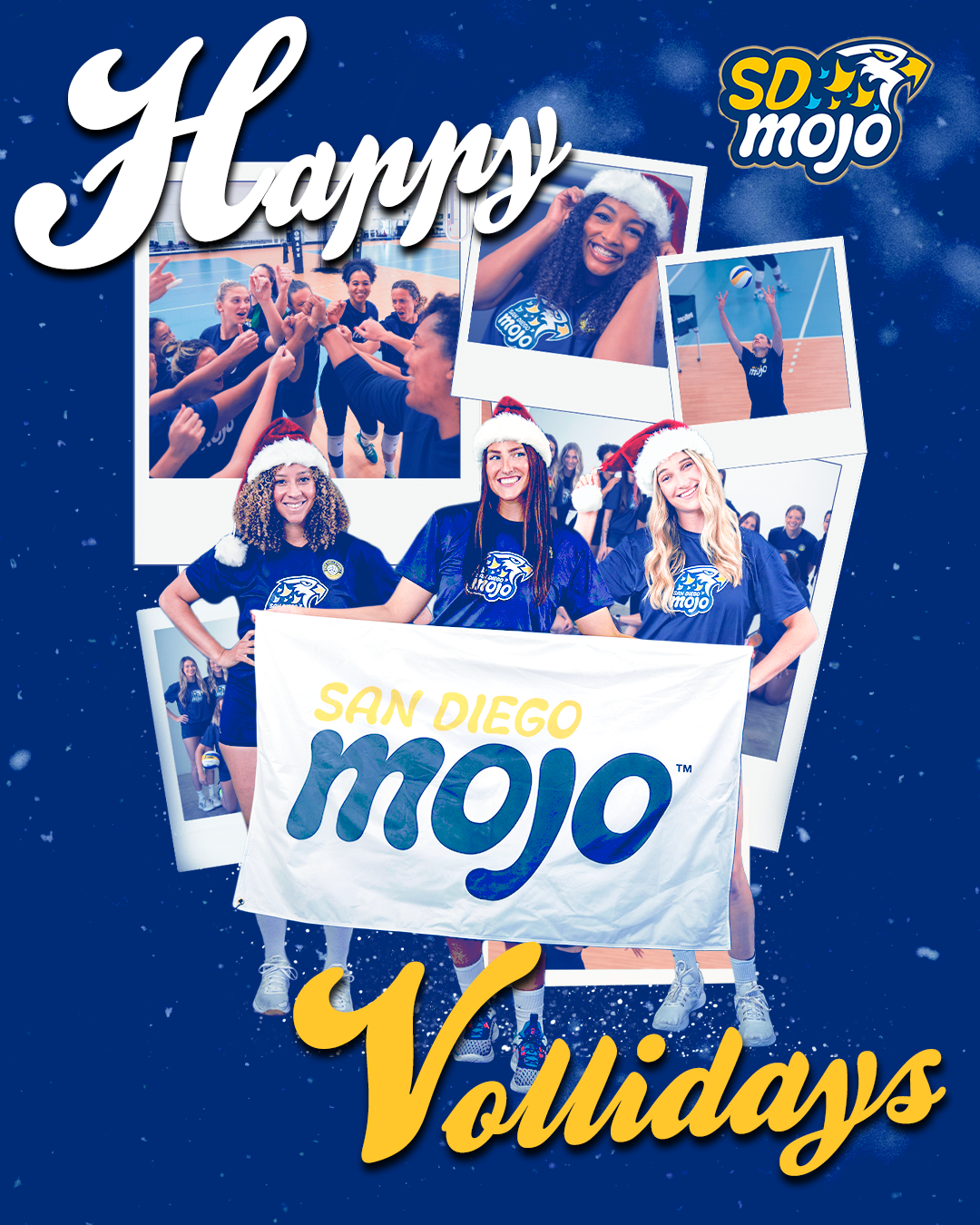 2 - San Diego Mojo Graphic submission