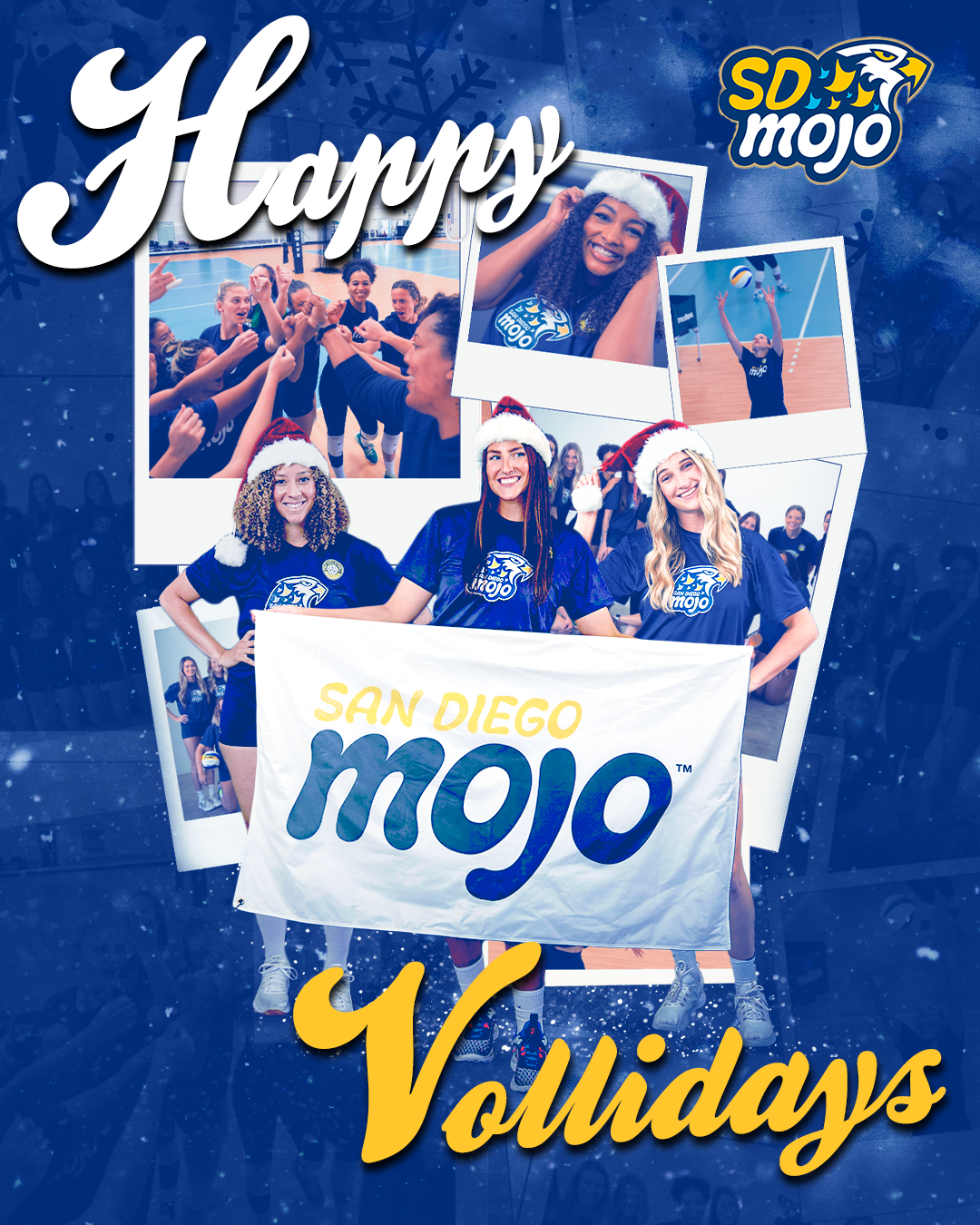 San Diego Mojo Graphic submission