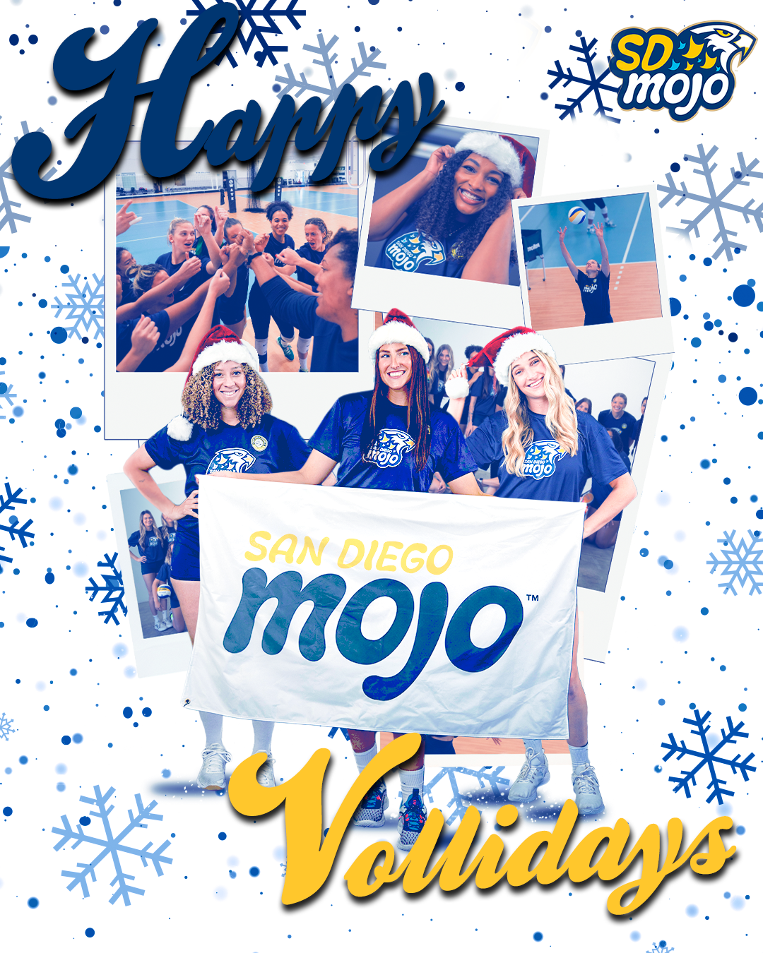 4 - San Diego Mojo Graphic submission