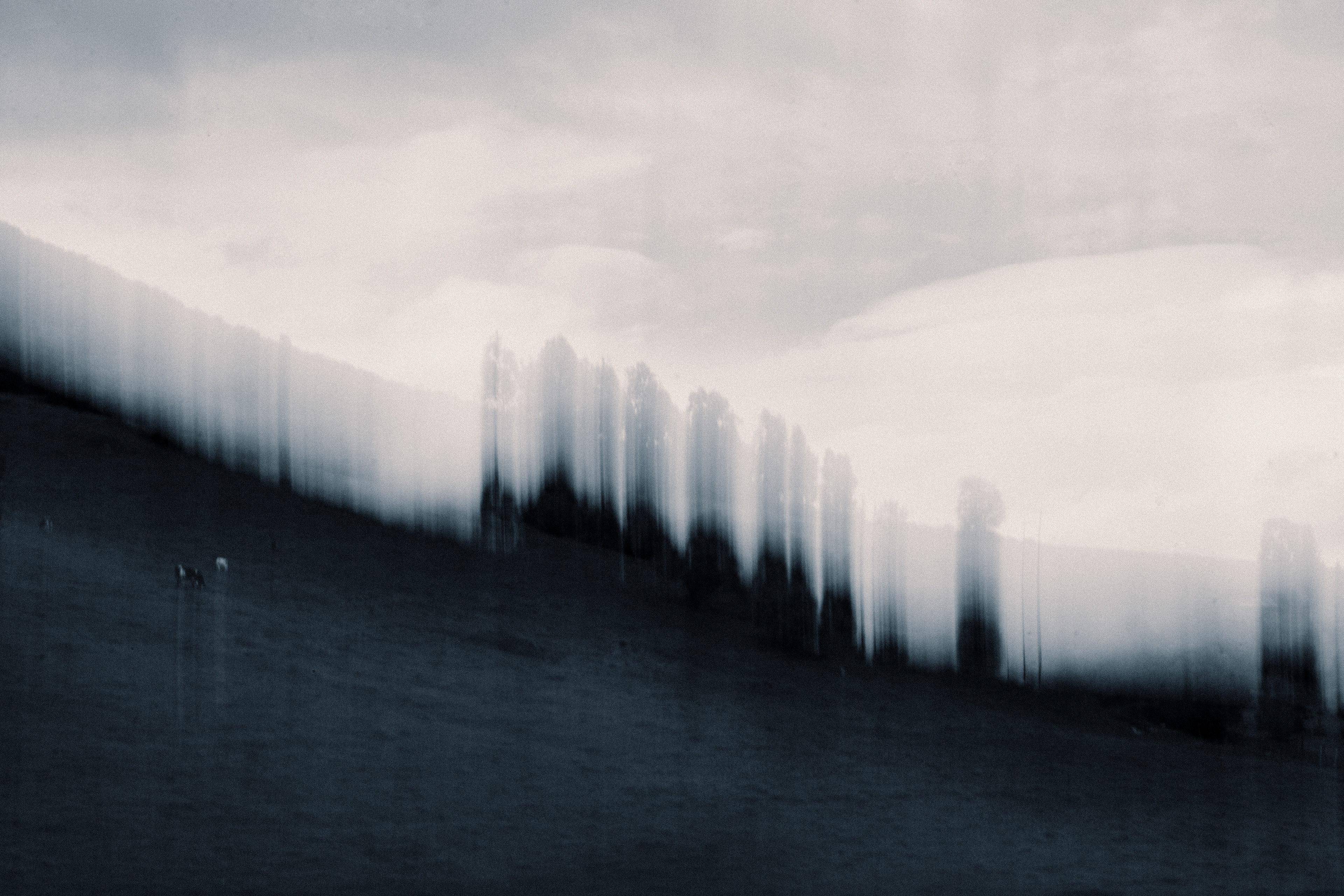 Paisaje Cogua- Cundinamarca