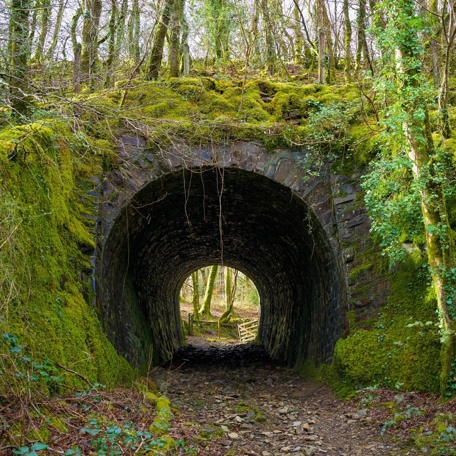 10 | Tunnel of sylvan love