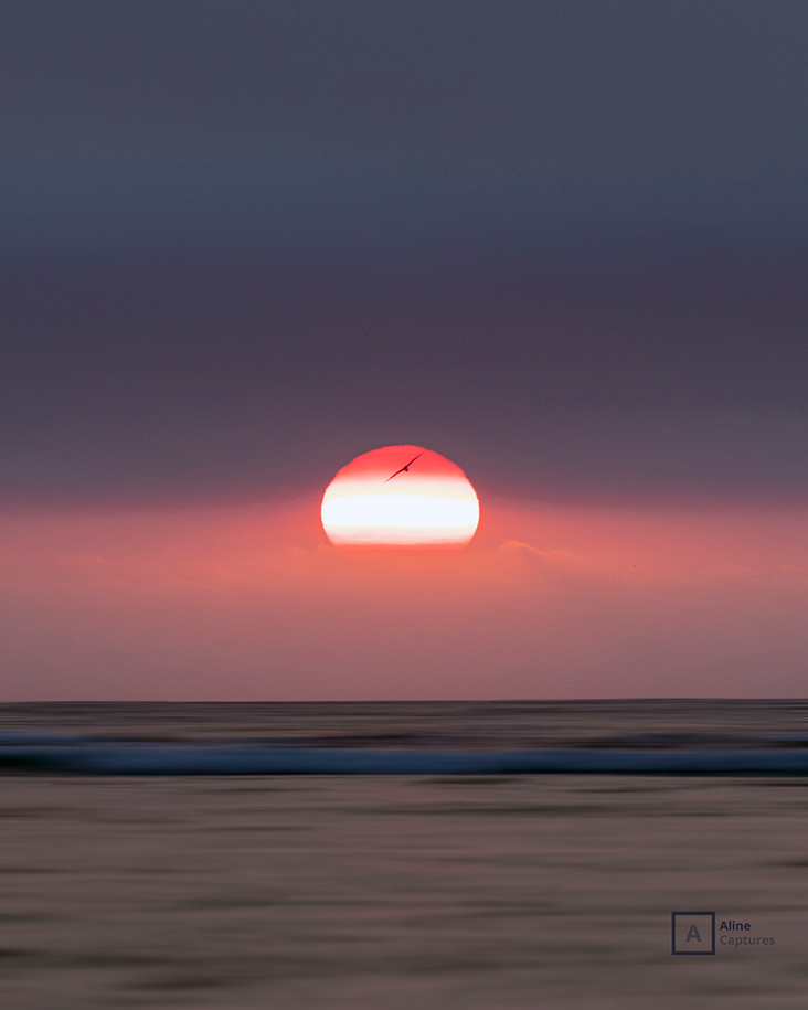 Code: L15 - Sunset in Yallingup, WA.