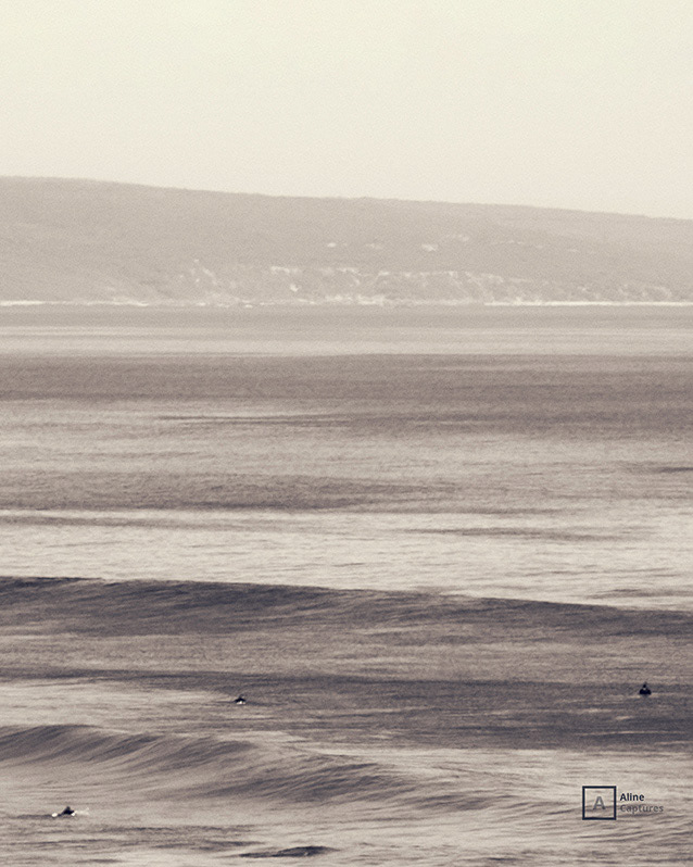 Code: L06 - Plenitude - South West, WA. 