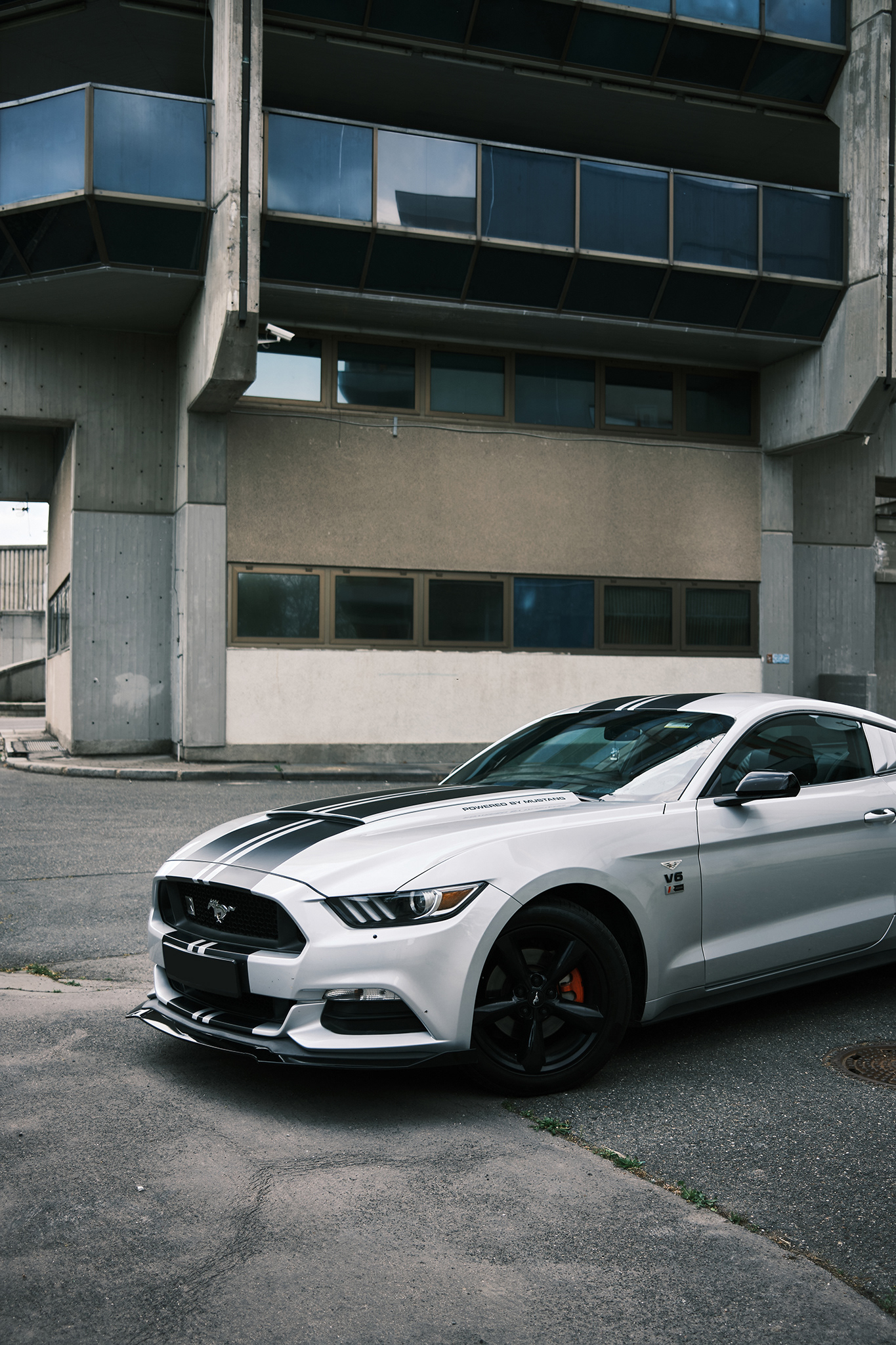 Mustang