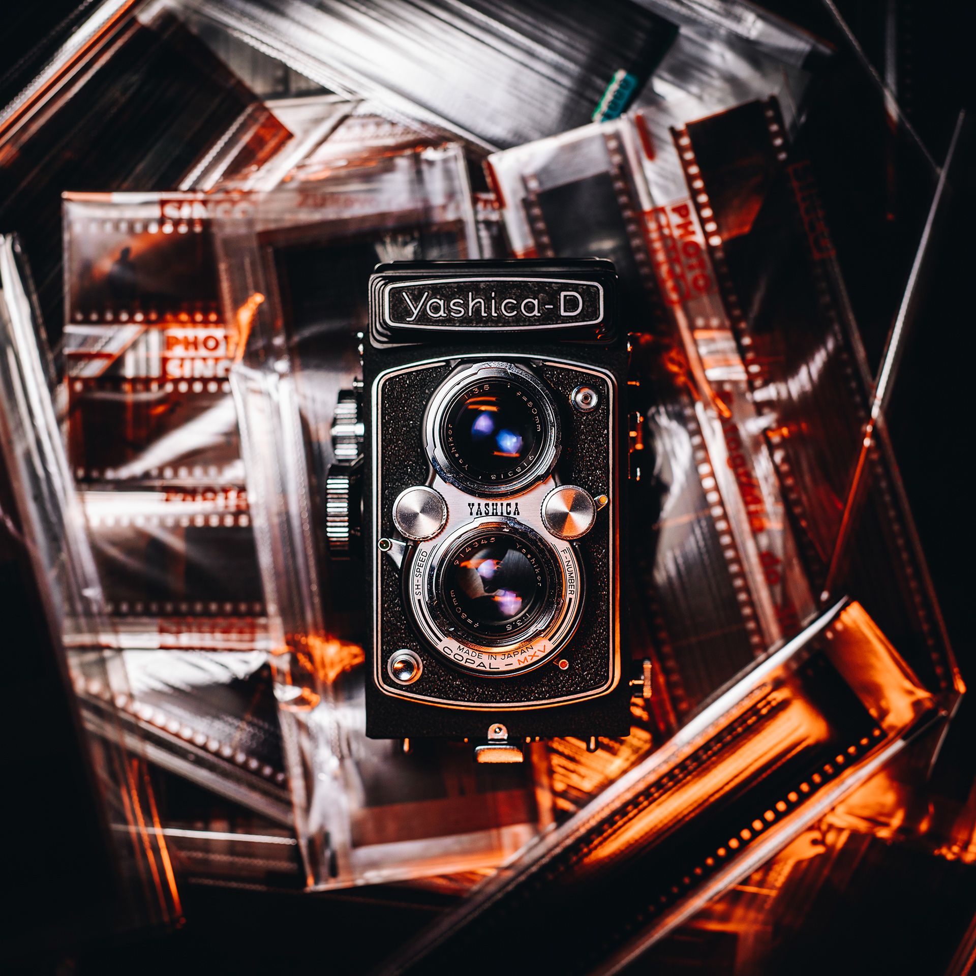 Yashica-D