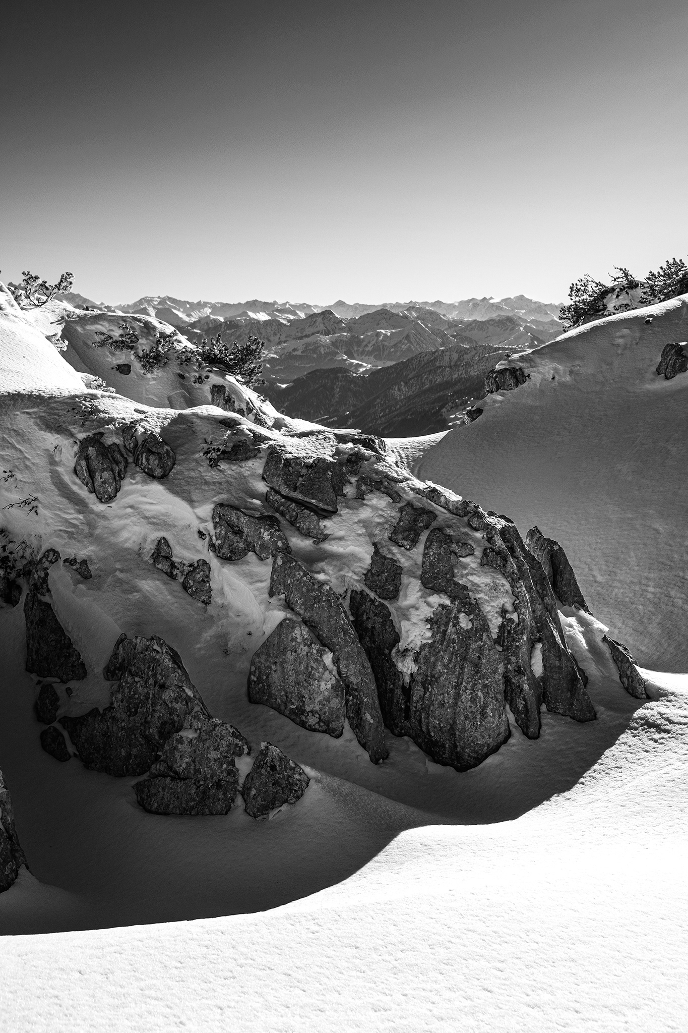 Alps 2023