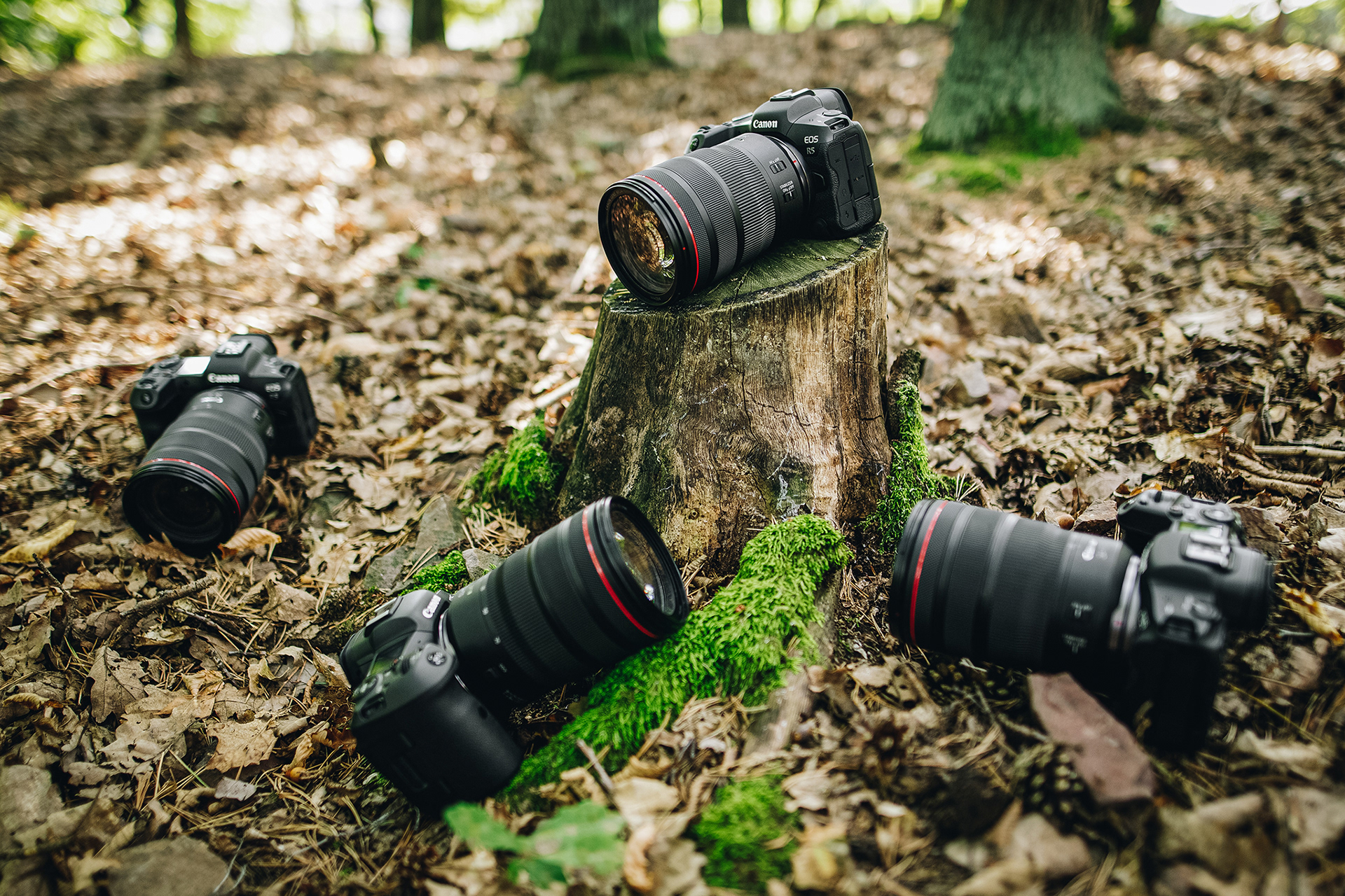 Canon